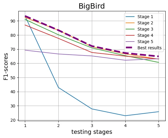 bigbird_stages.webp