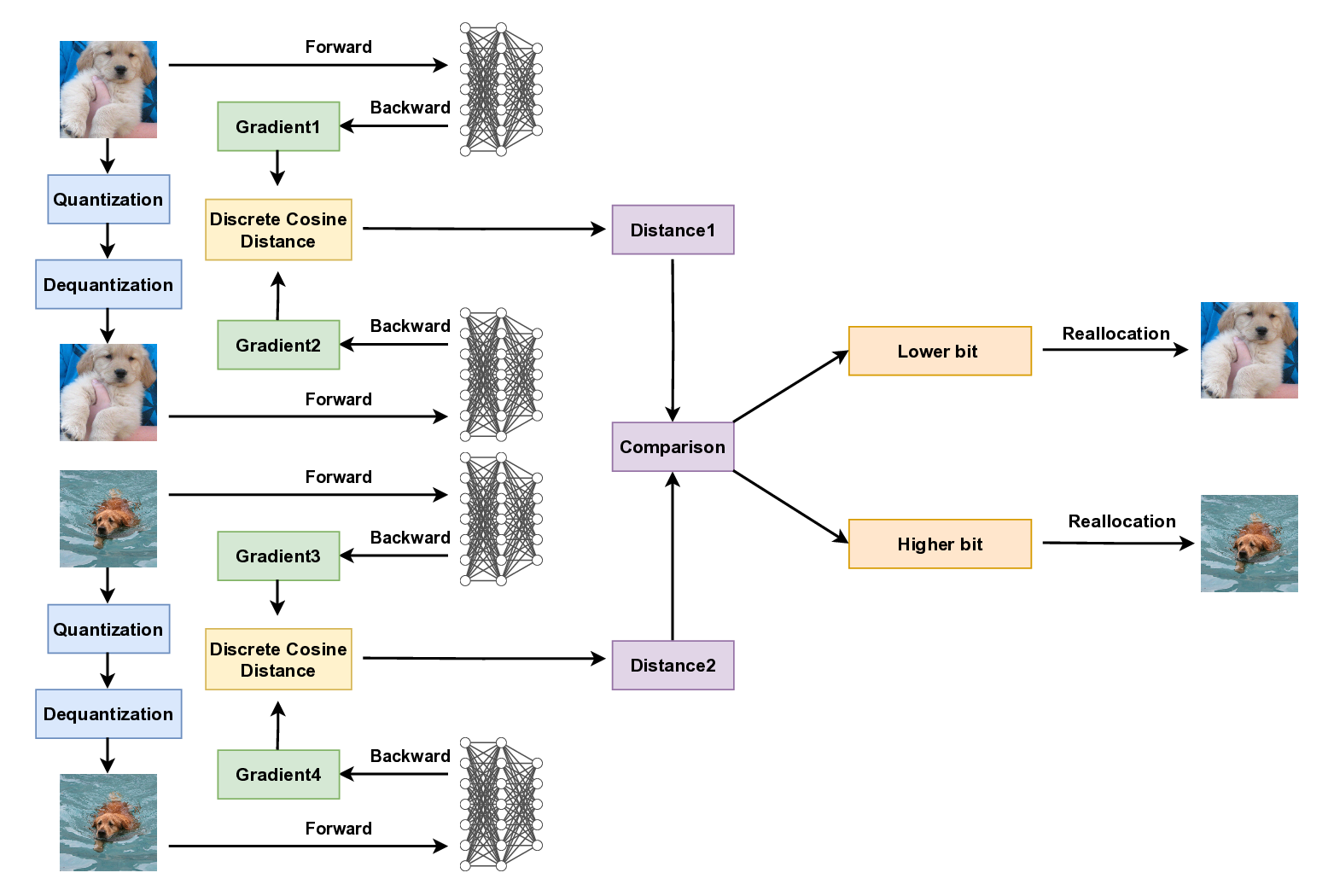 Adaptive Dataset Quantization: A New Direction for Dataset Pruning