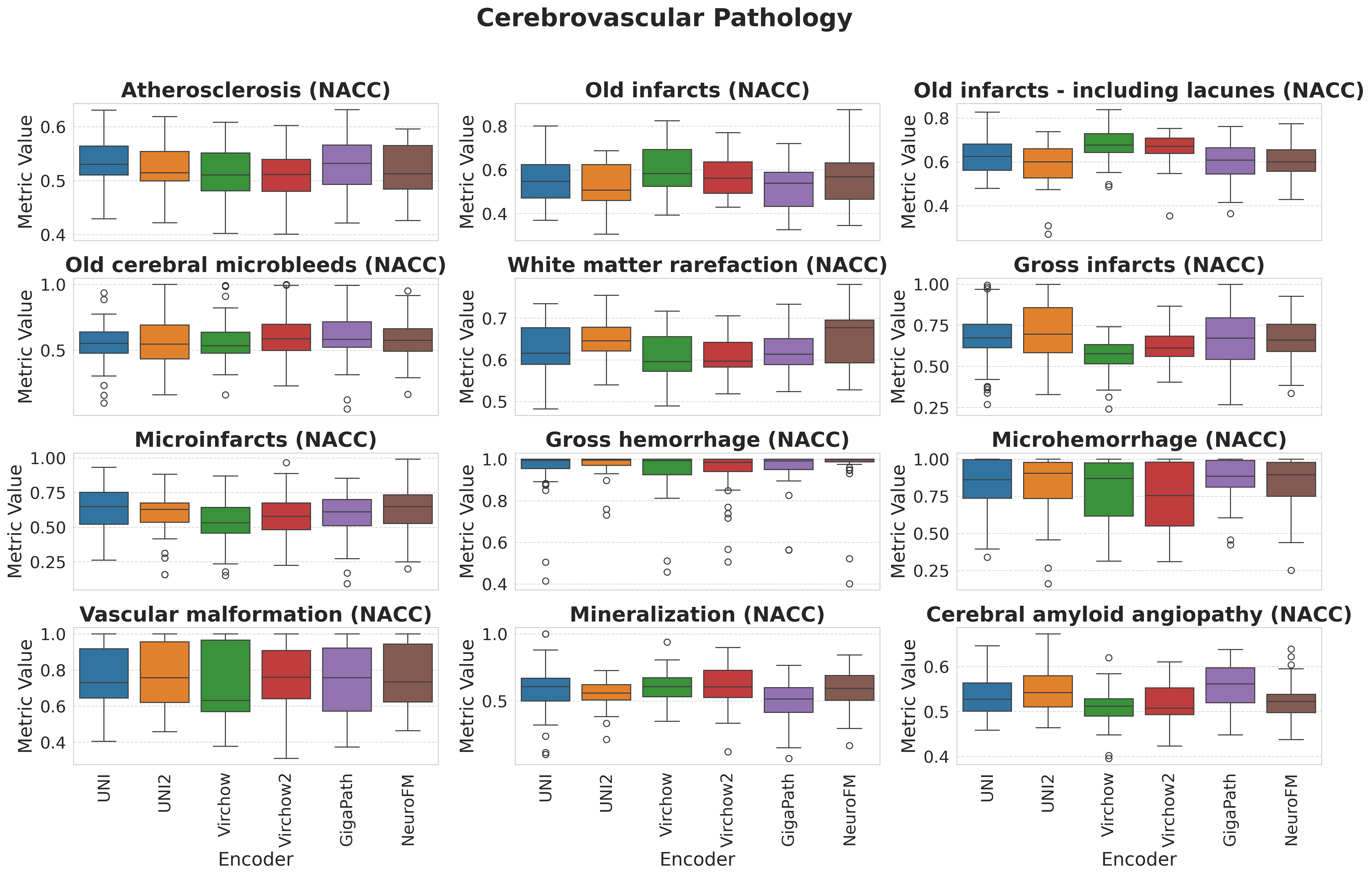 Boxplots_Cerebrovascular_Pathology.png