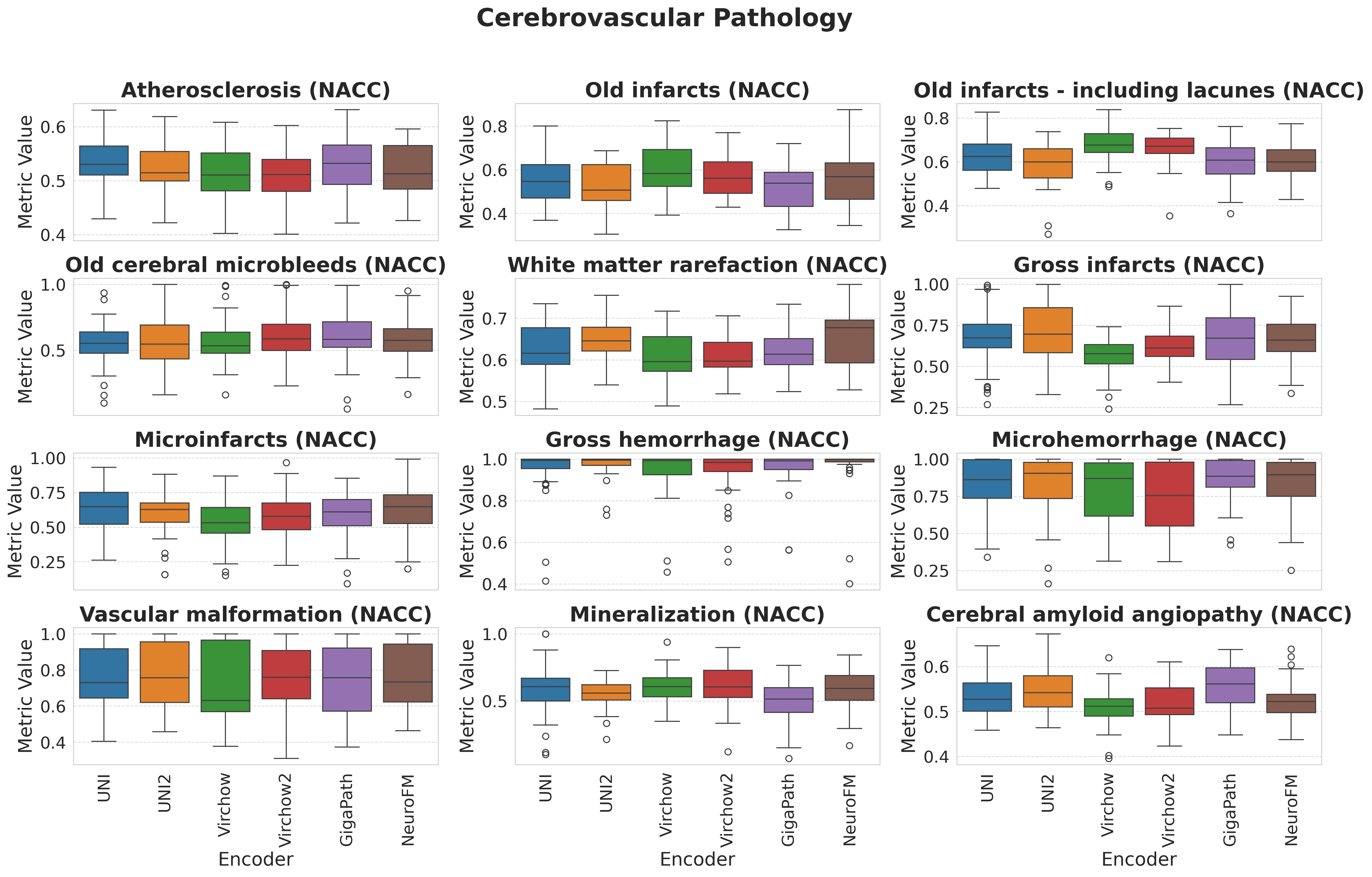 Boxplots_Cerebrovascular_Pathology.webp