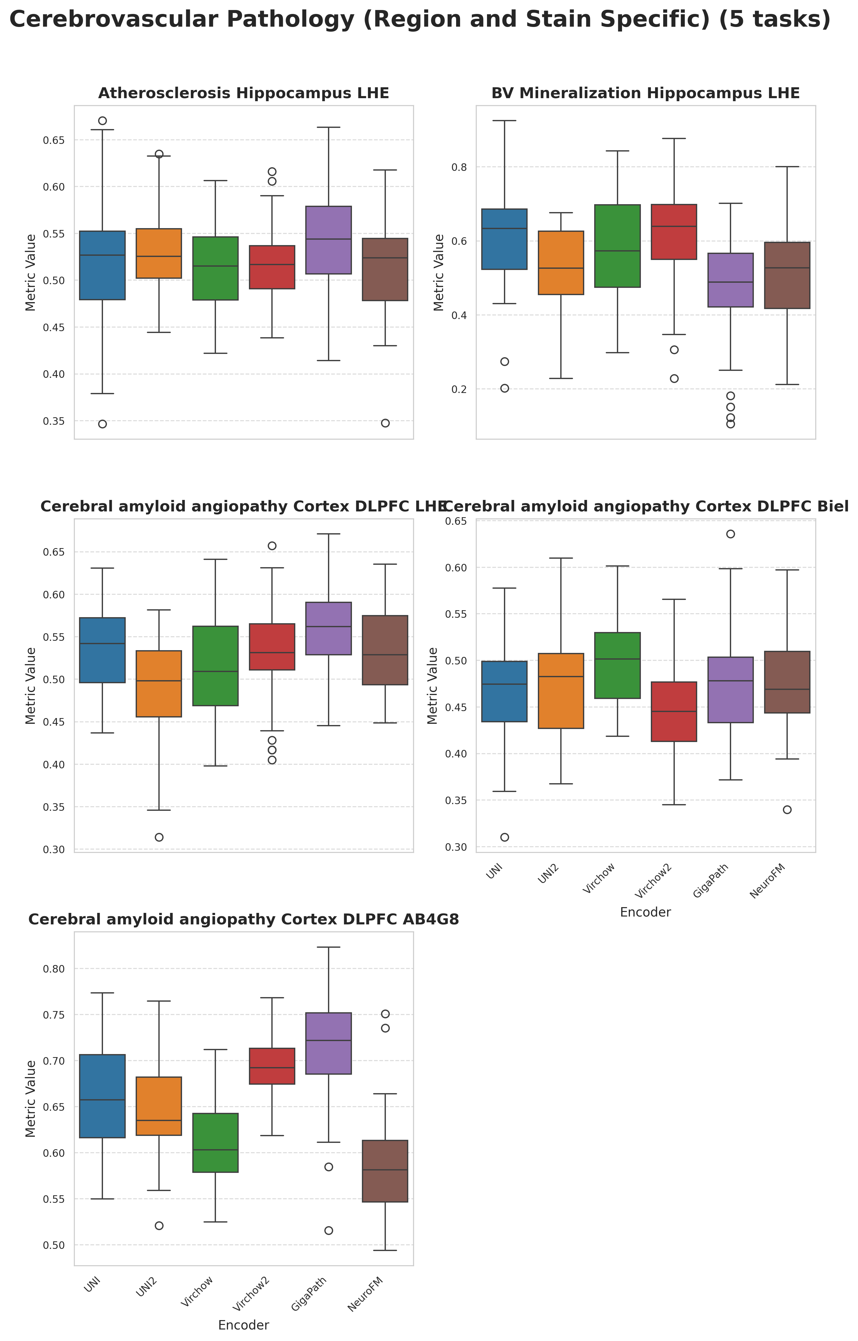 Boxplots_Cerebrovascular_Pathology__Region_and_Stain_Specific_.png