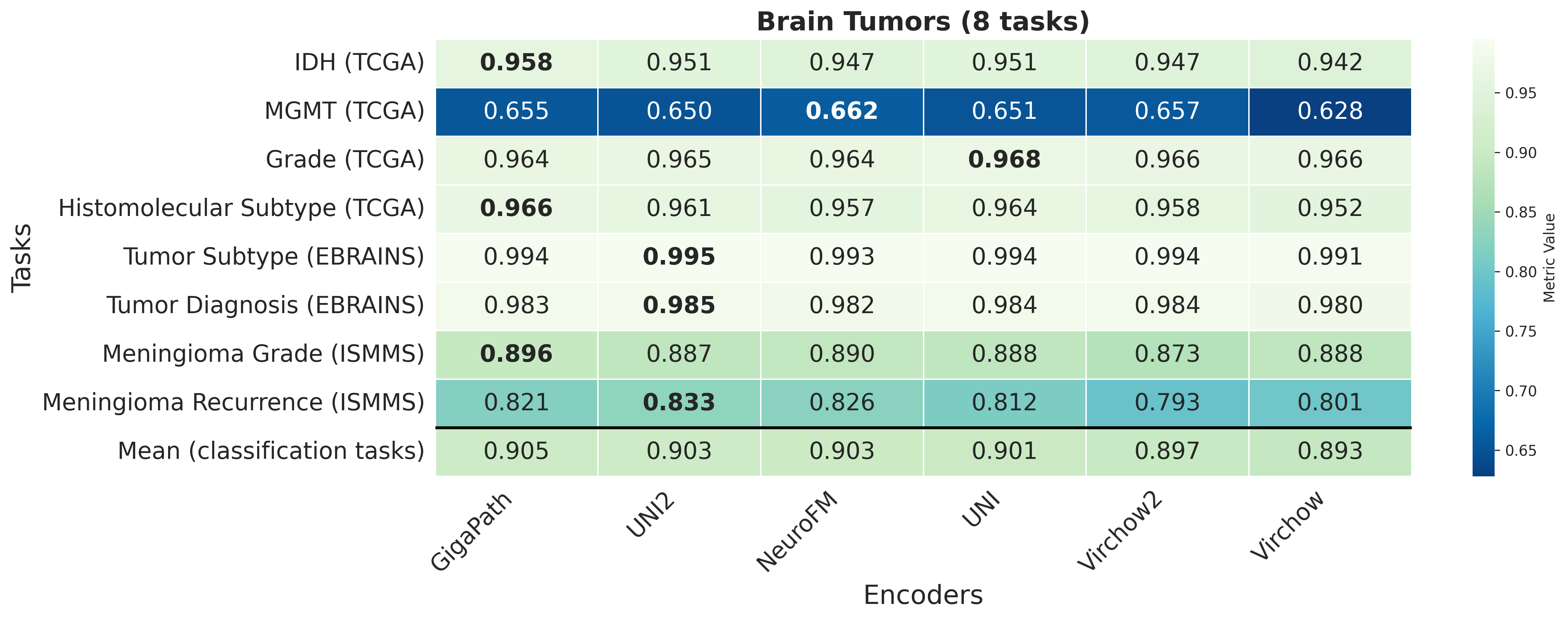 Heatmap_Brain_Tumors.png