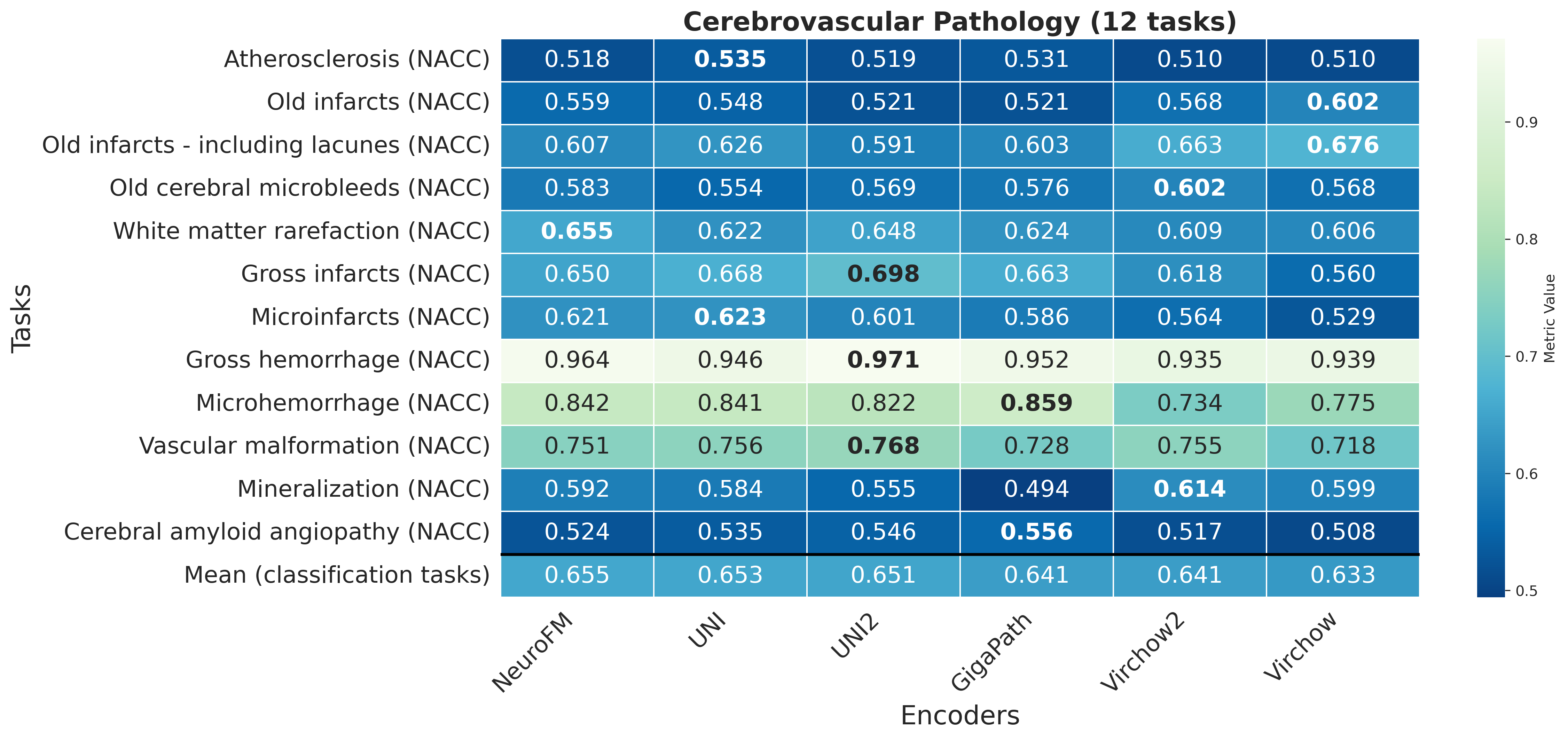 Heatmap_Cerebrovascular_Pathology.png