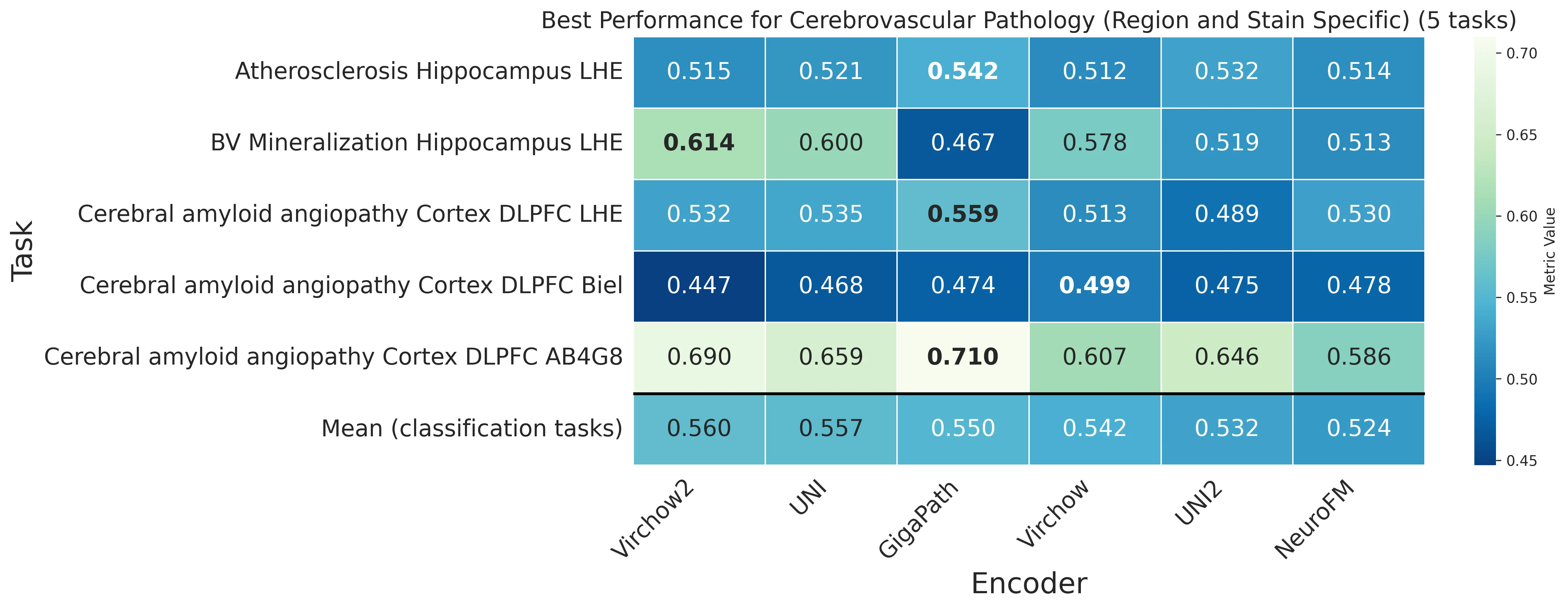 Heatmap_Cerebrovascular_Pathology__Region_and_Stain_Specific_.webp