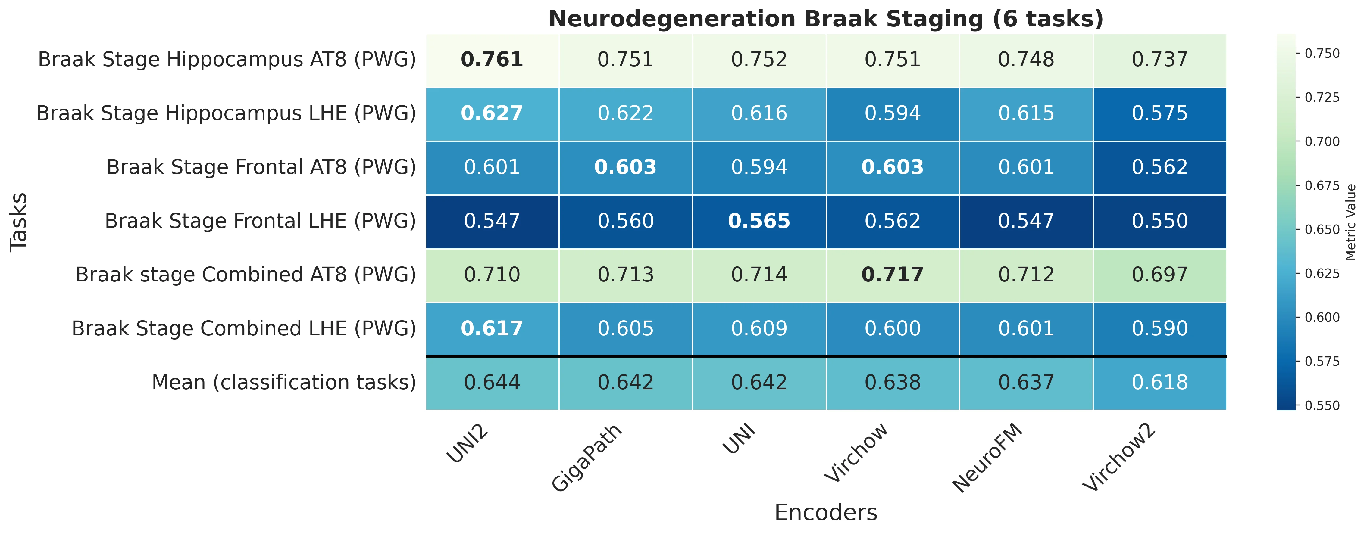 Heatmap_Neurodegeneration_Braak_Staging.webp