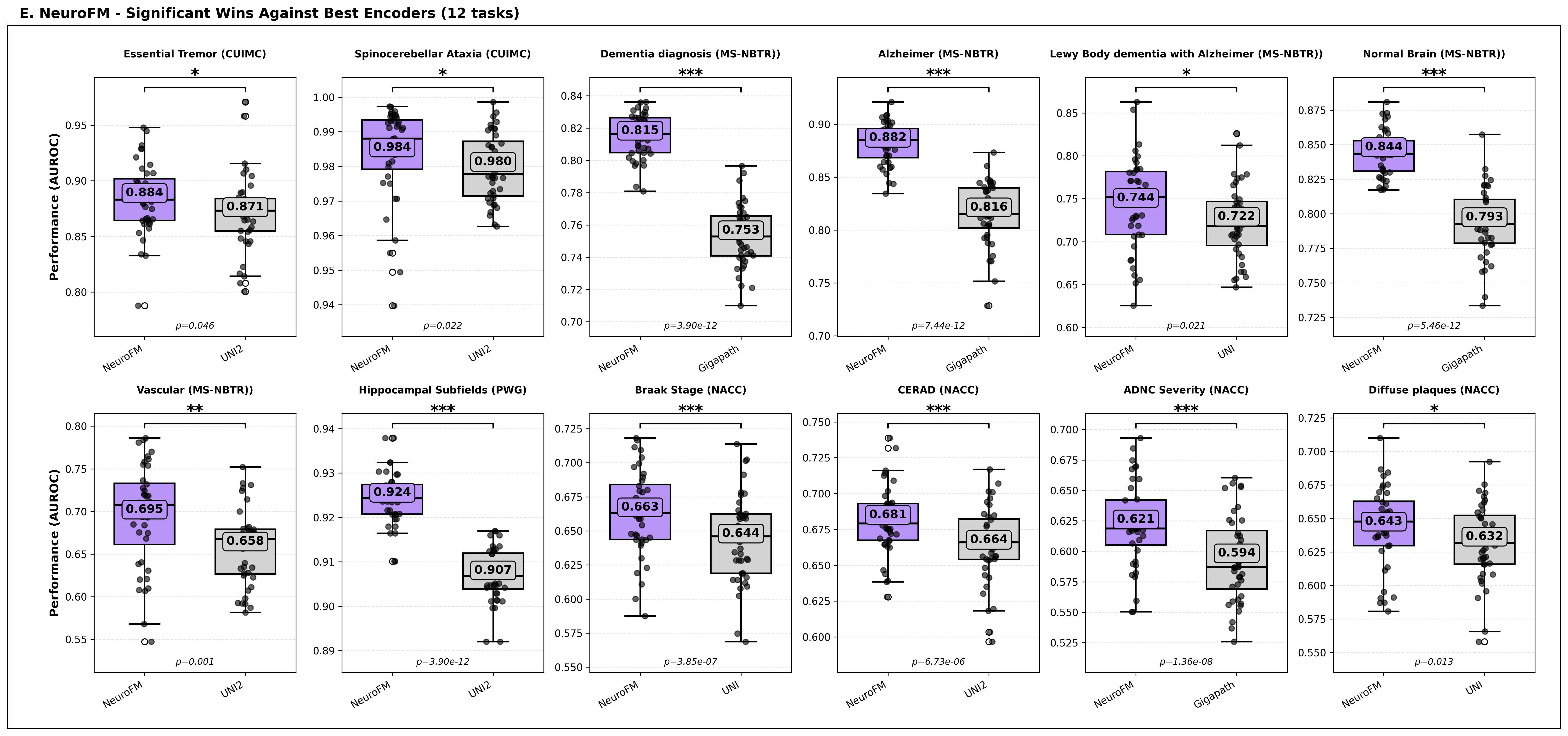NeuroFM_all_wins_combined_2rows.png