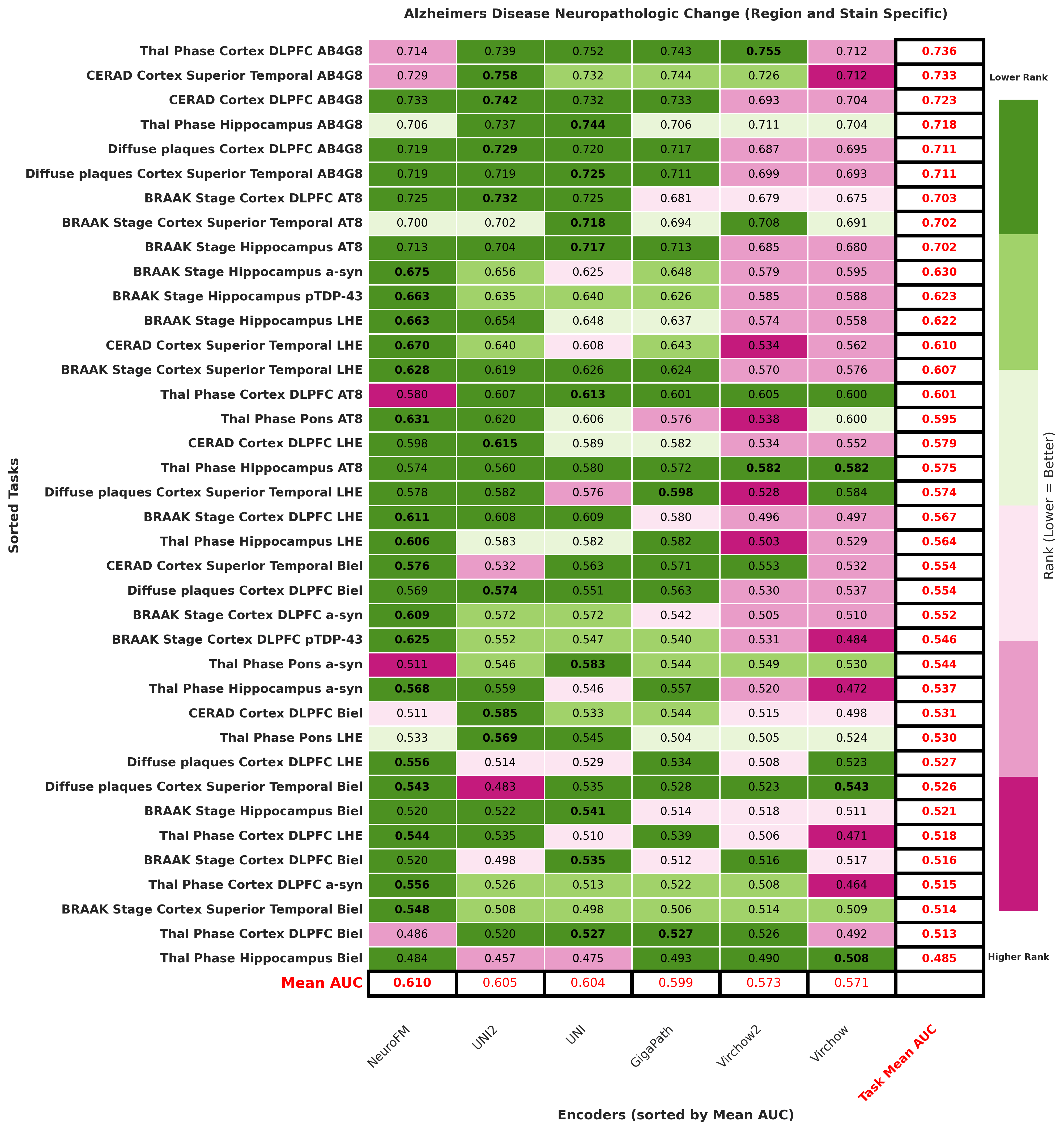 Ranking_heatmap_Alzheimers_Disease_Neuropathologic_Change_Region_and_Stain_Specific_sorted.png