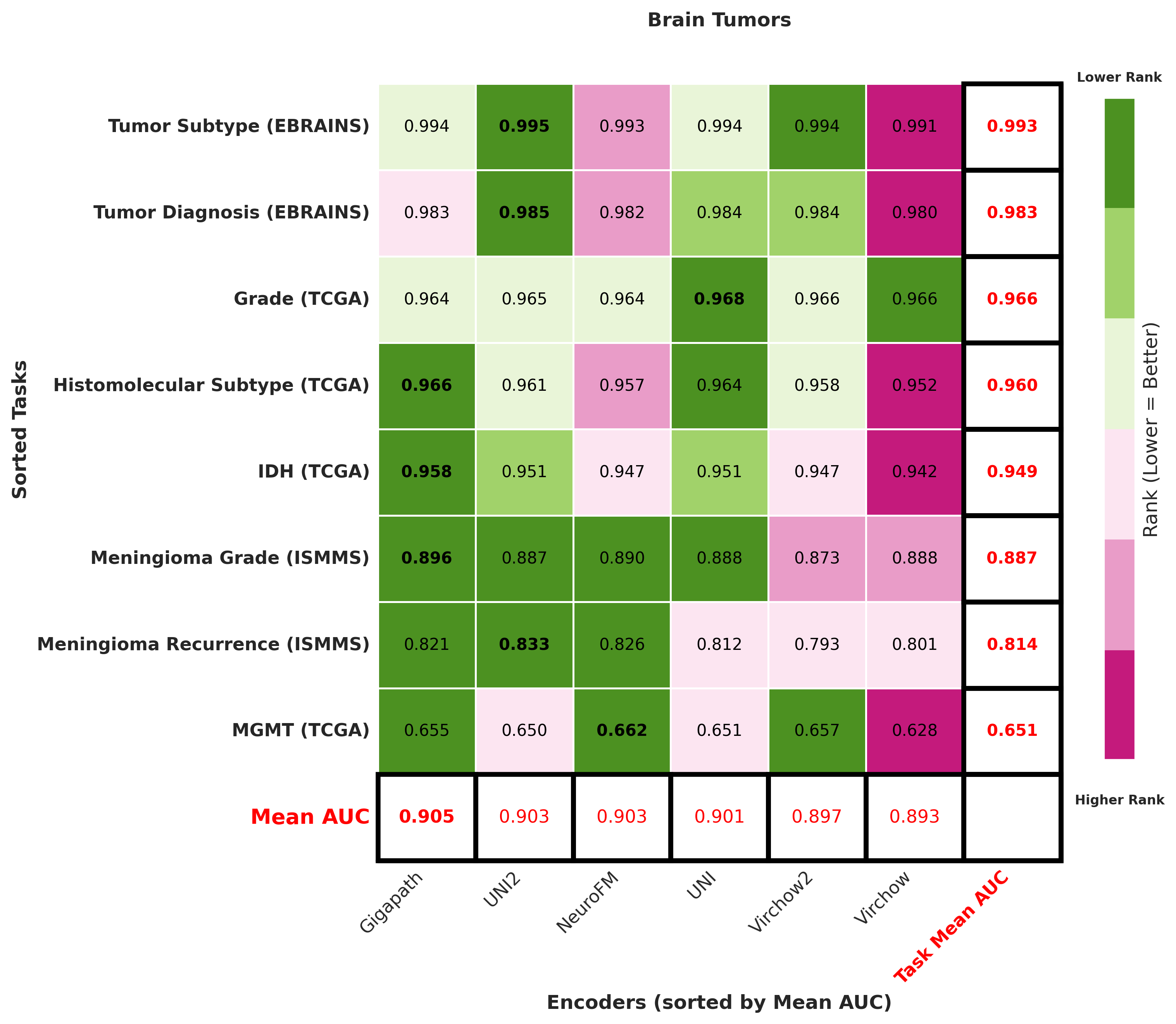 Ranking_heatmap_Brain_Tumors_sorted.png