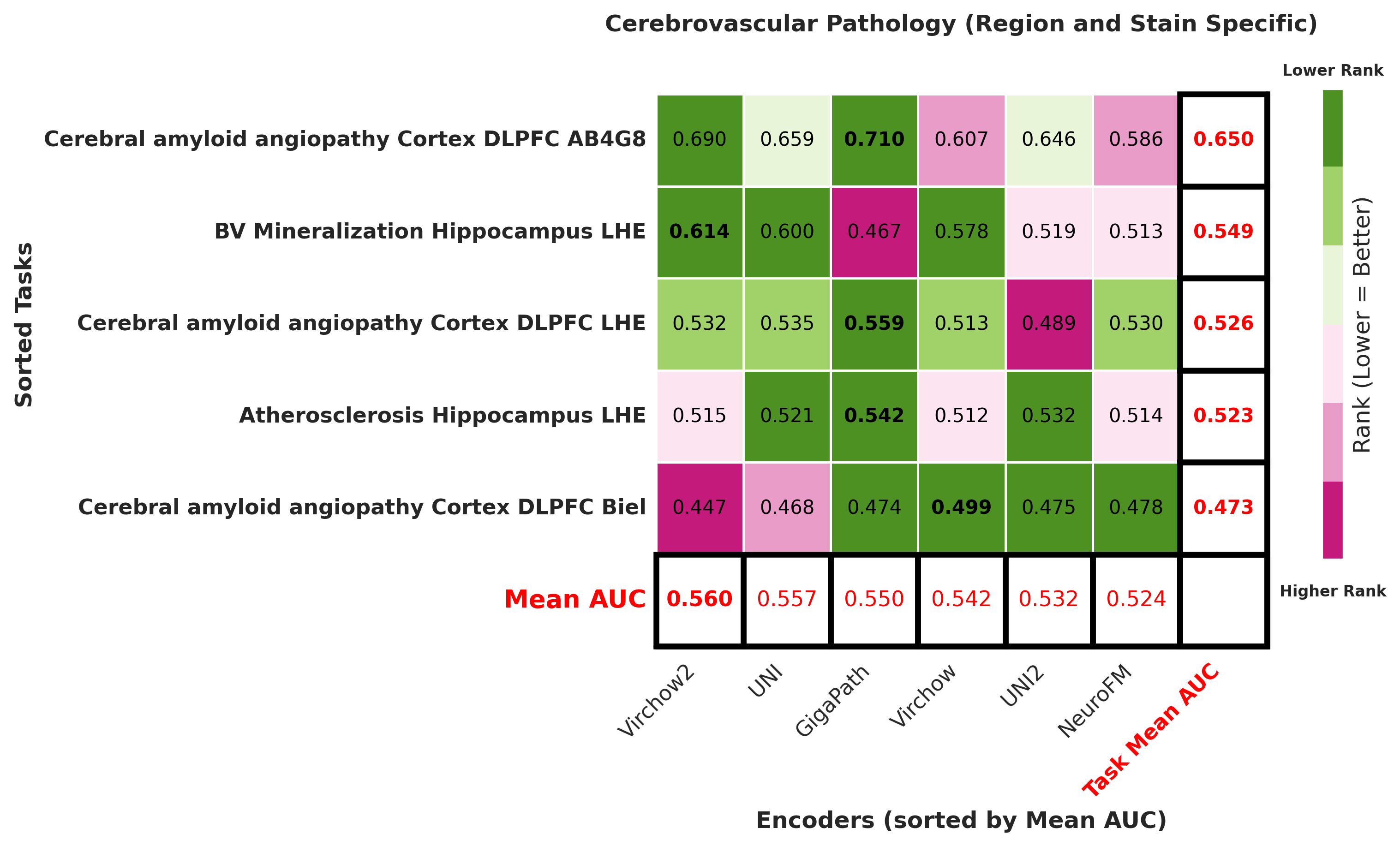 Ranking_heatmap_Cerebrovascular_Pathology_Region_and_Stain_Specific_sorted.png