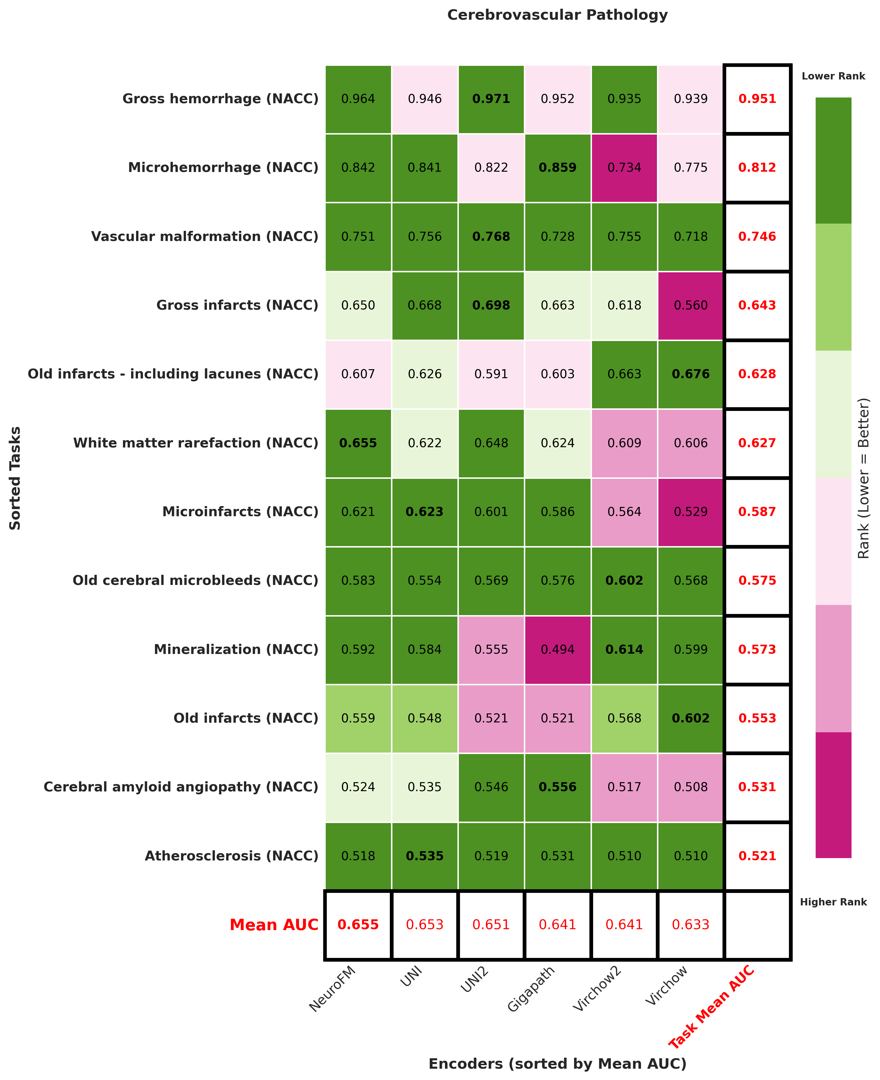 Ranking_heatmap_Cerebrovascular_Pathology_sorted.png