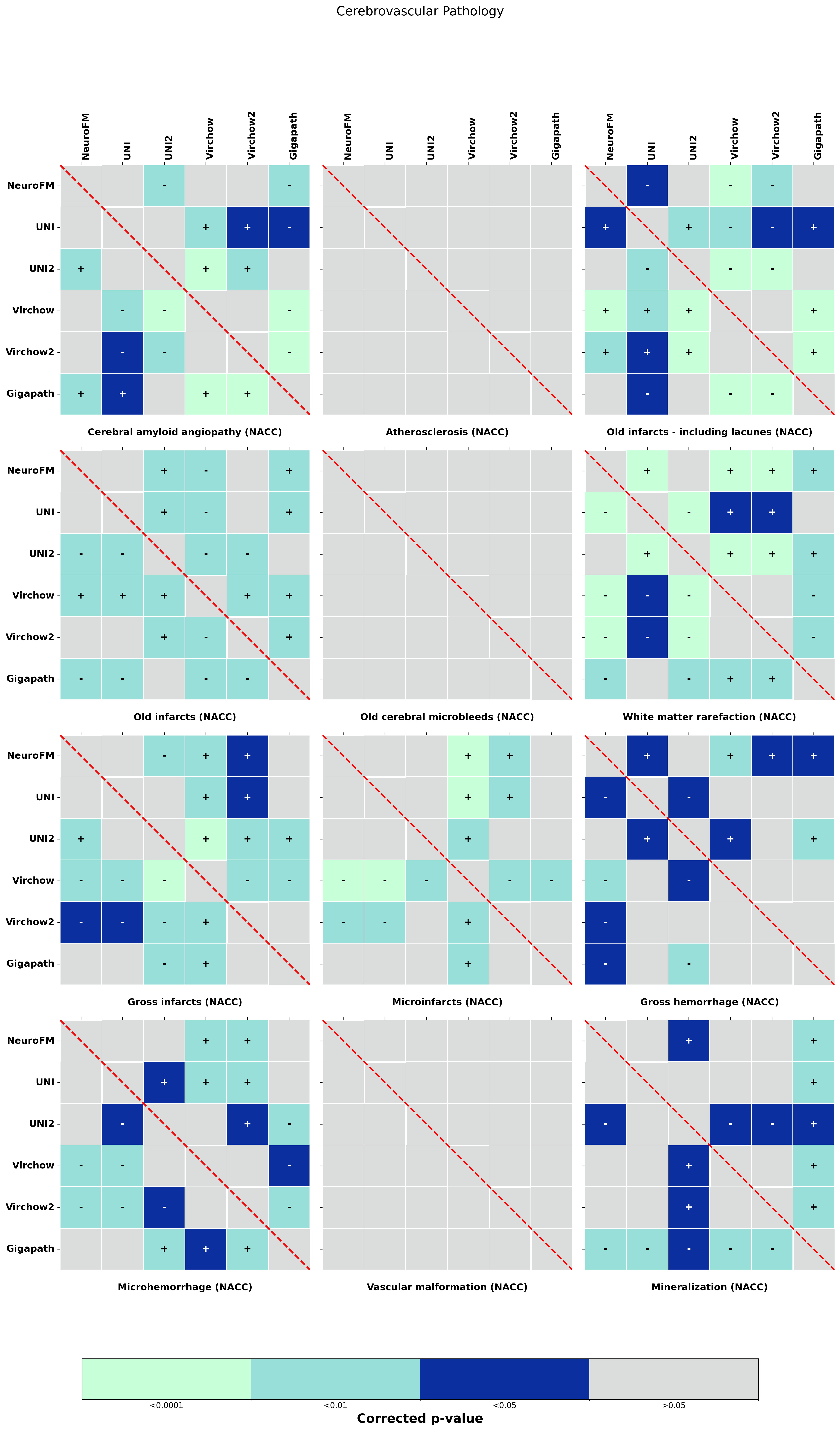 Statistical_heatmaps_with_colorbar_Cerebrovascular_Pathology.png
