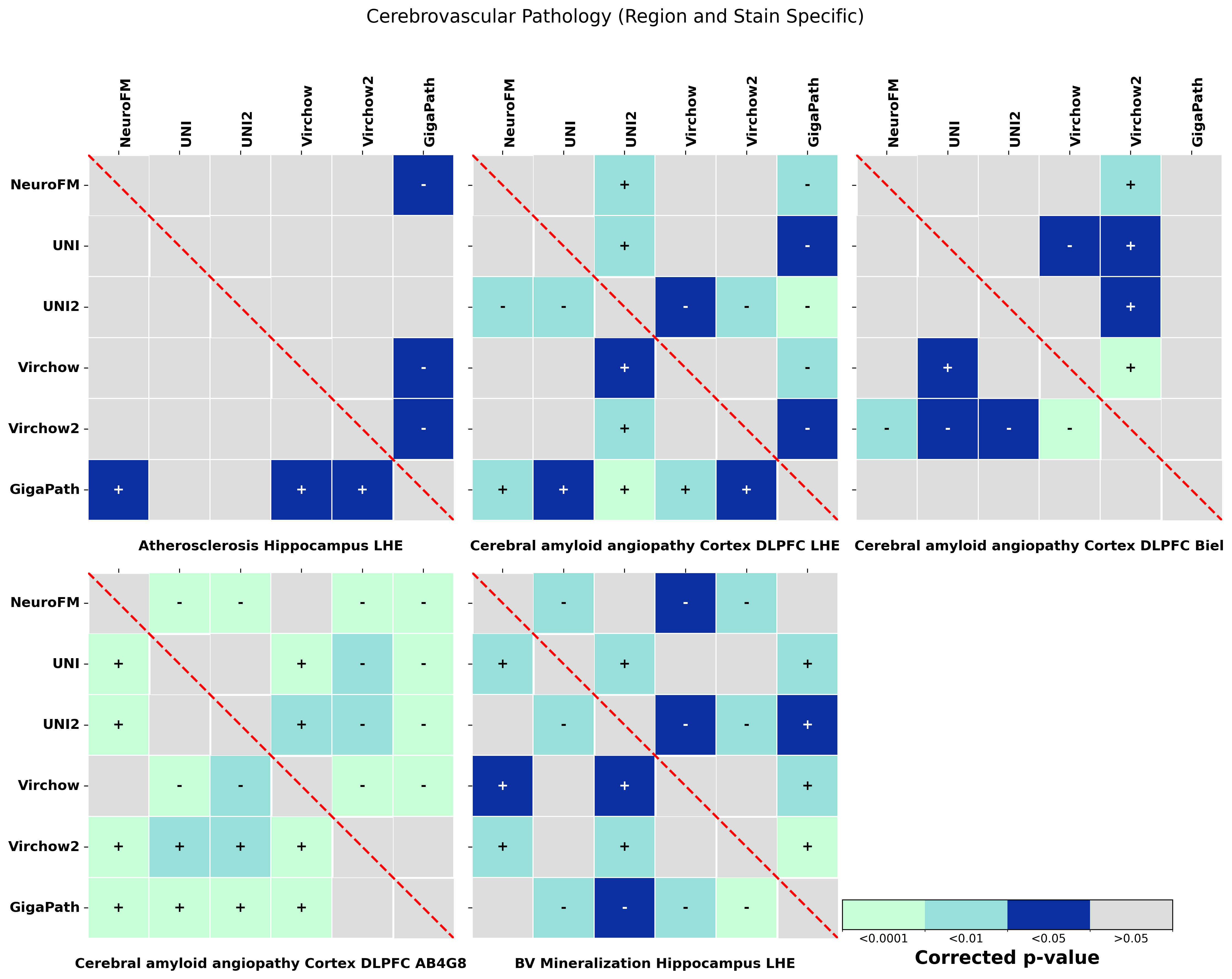 Statistical_heatmaps_with_colorbar_Cerebrovascular_Pathology__Region_and_Stain_Specific_.png