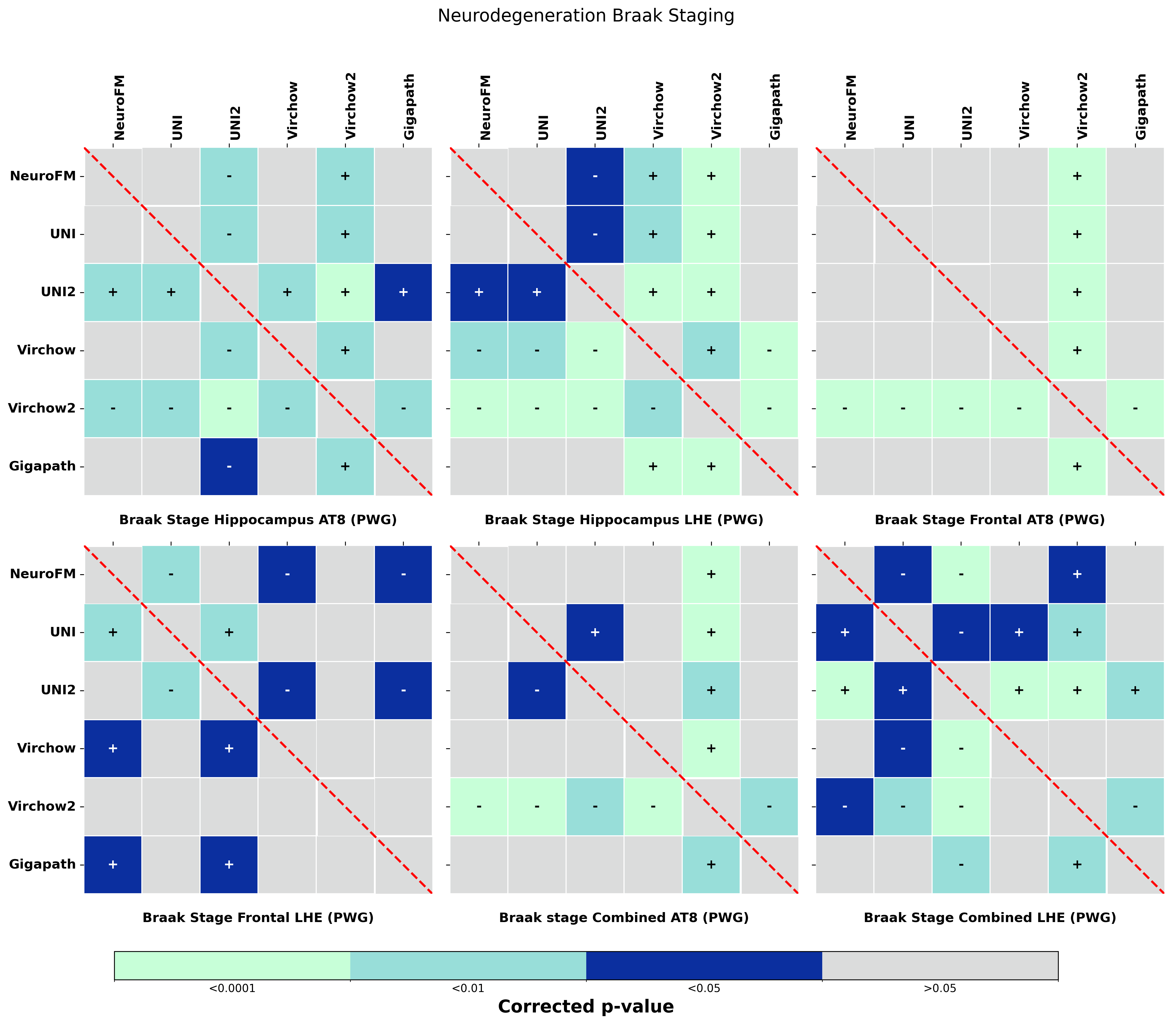 Statistical_heatmaps_with_colorbar_Neurodegeneration_Braak_Staging.png