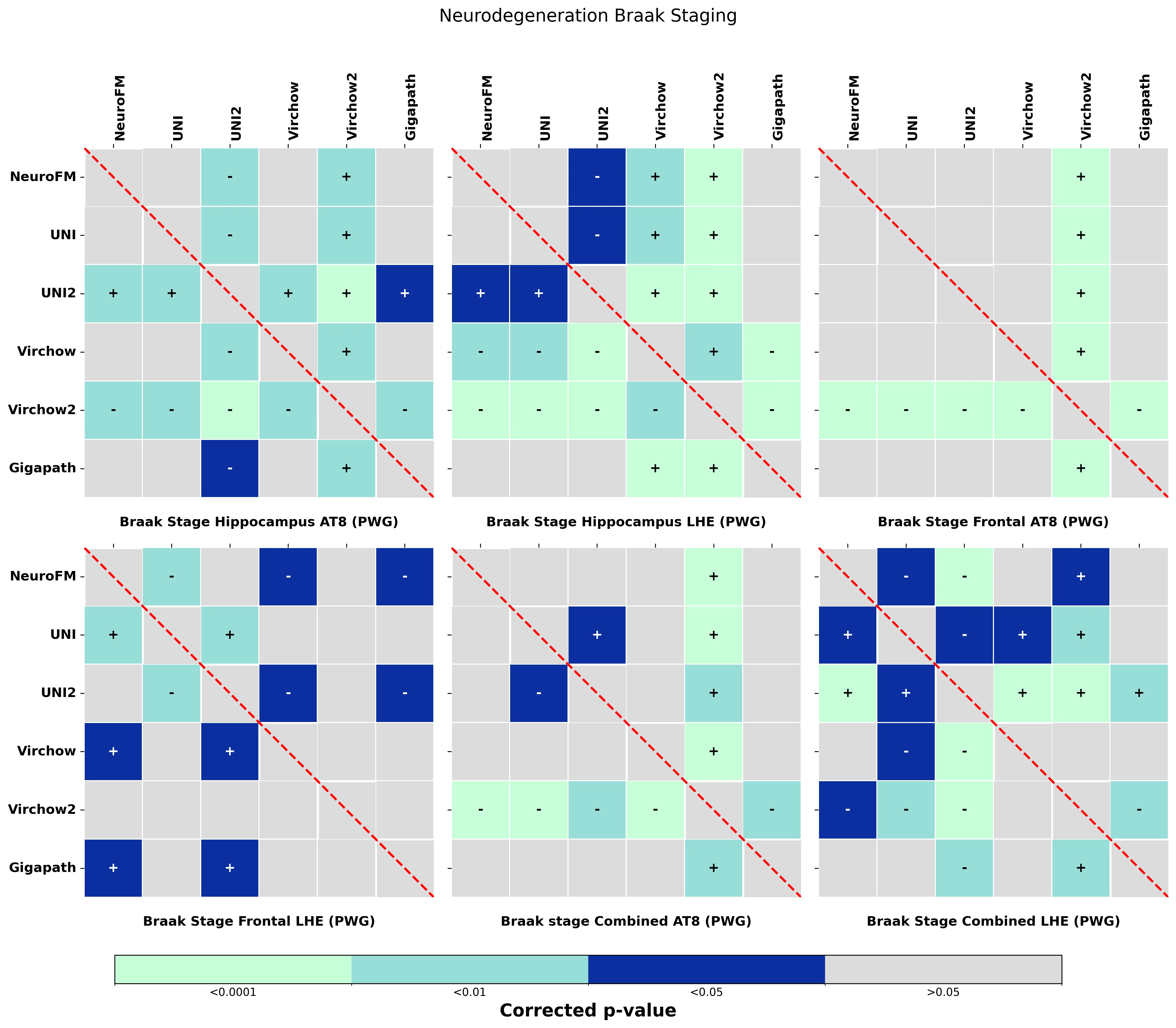 Statistical_heatmaps_with_colorbar_Neurodegeneration_Braak_Staging.webp