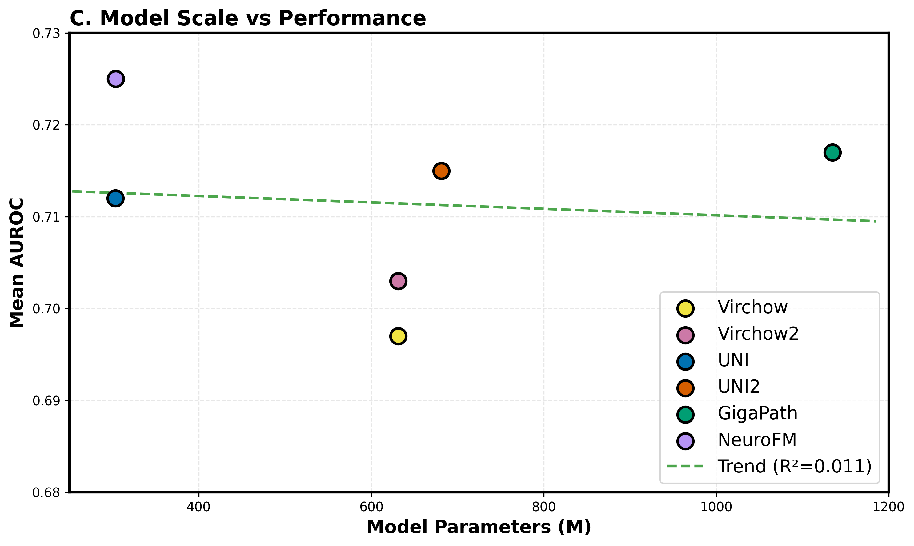 model_scale_vs_performance.png