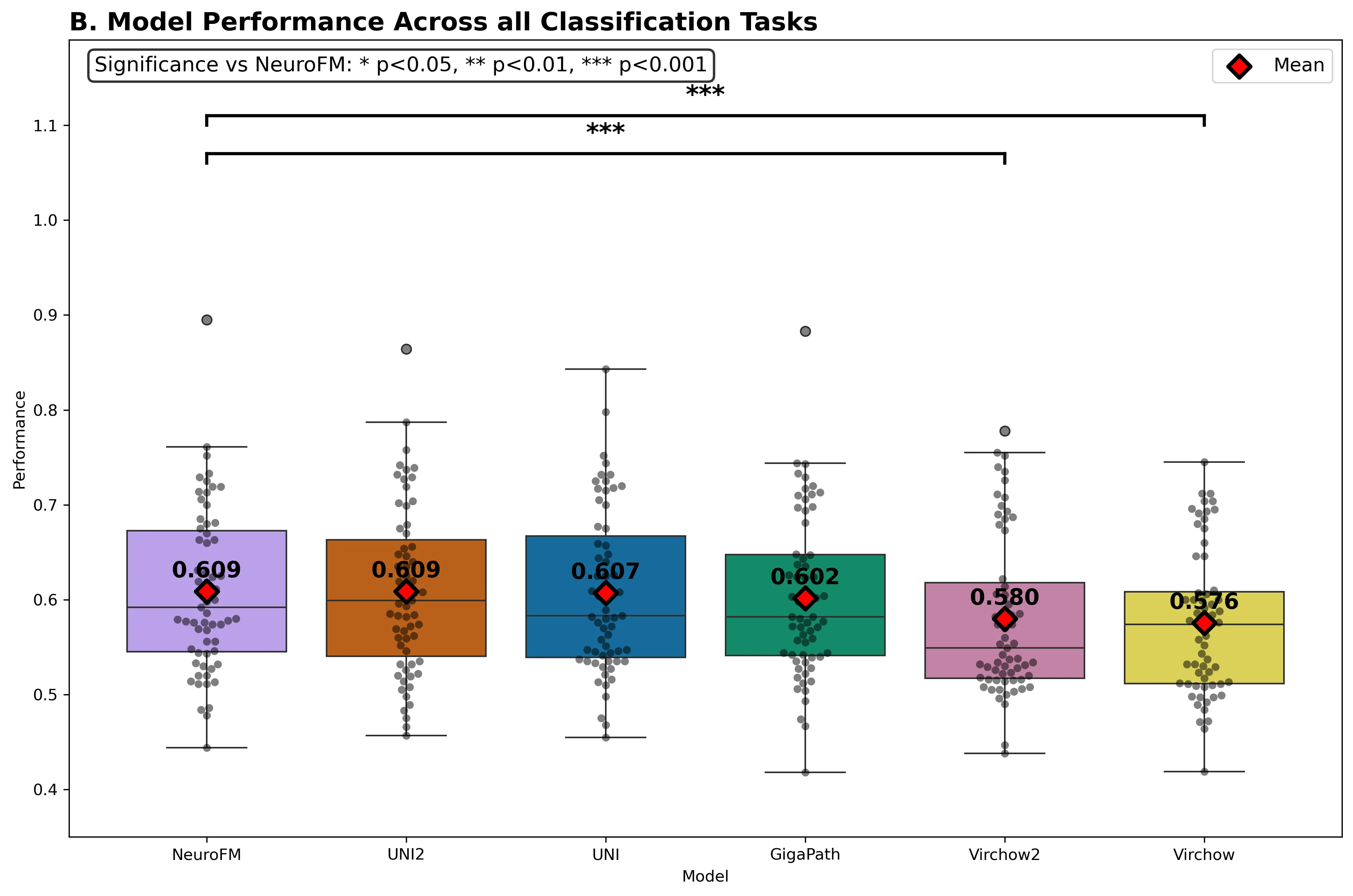 region_n_stain_model_performance_boxplot_with_significance.webp