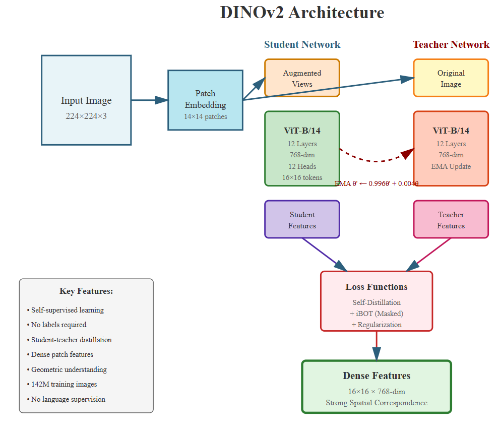 dinov2_architecture.png