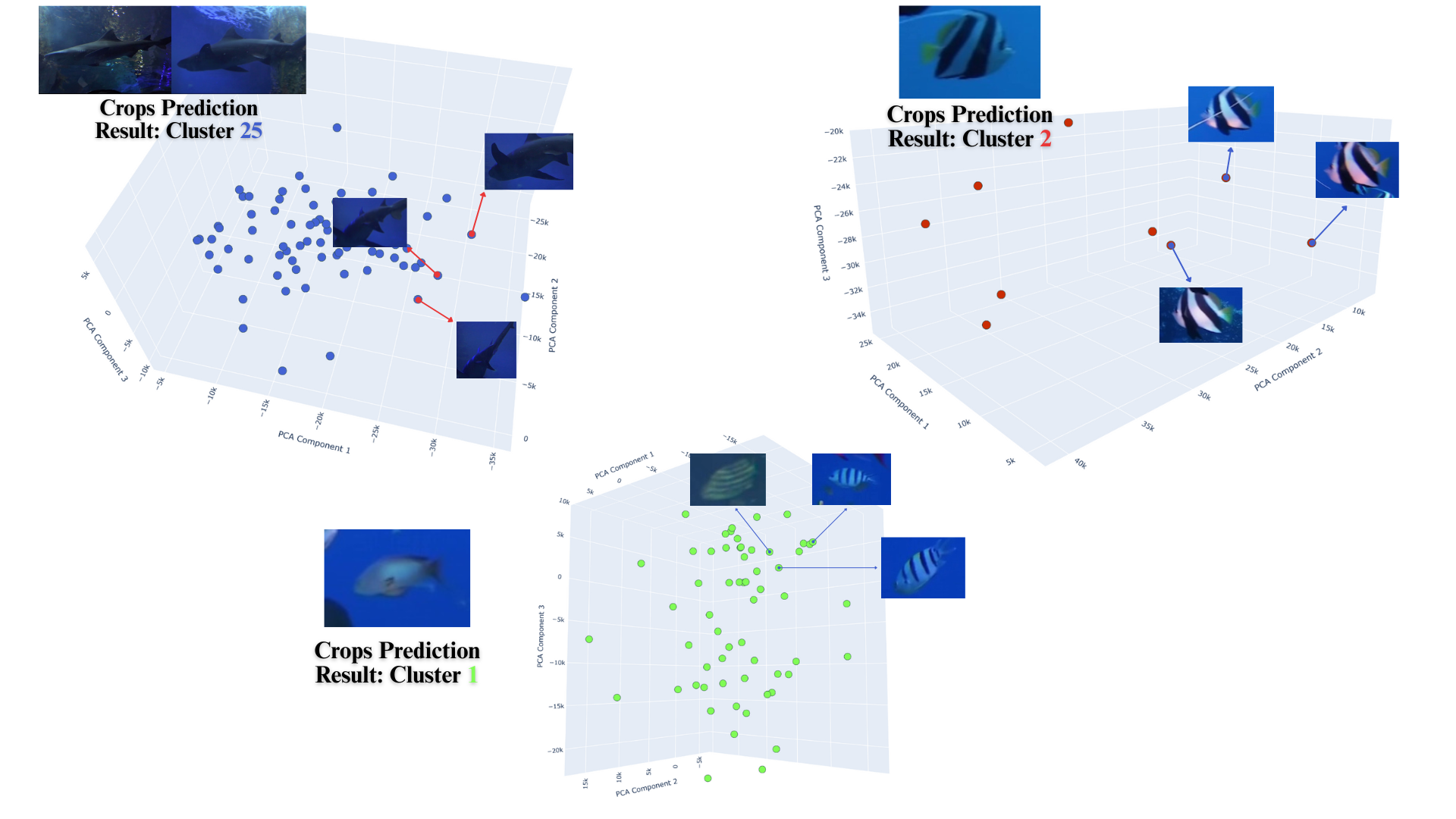 prediction_results_and_clusters_visual.png