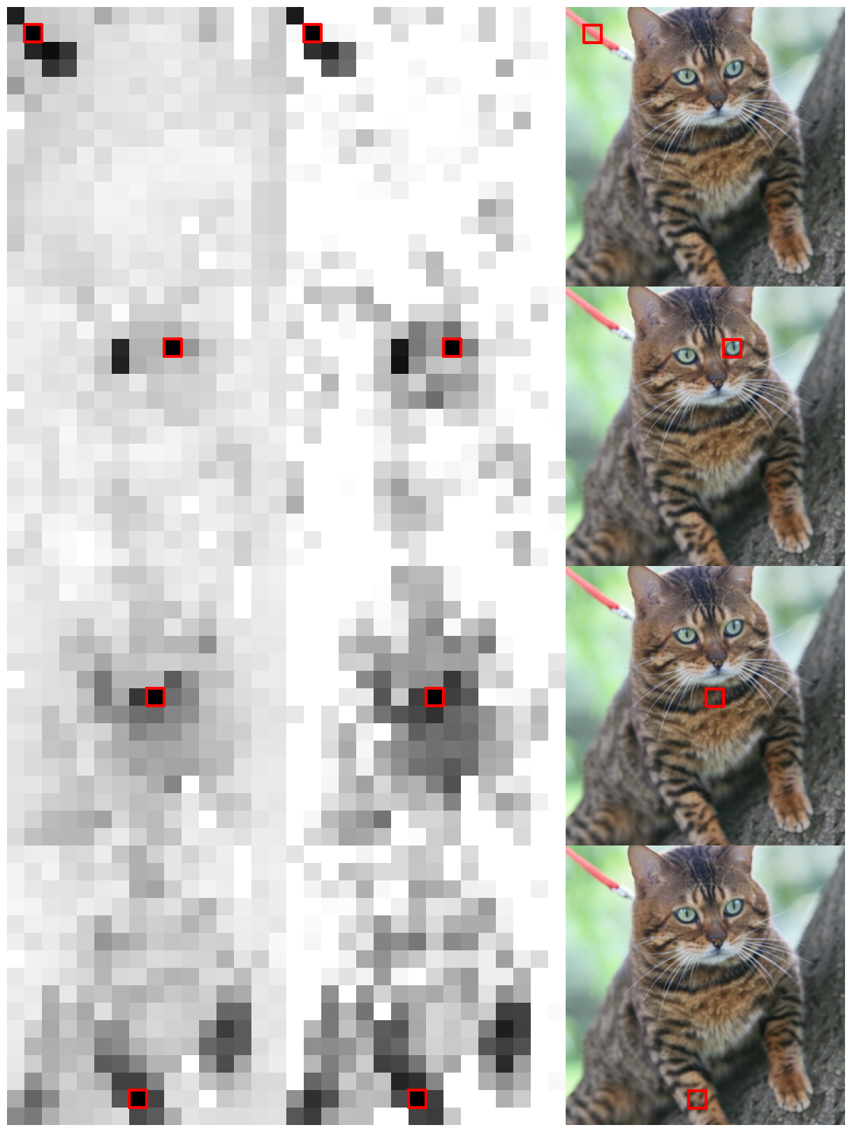 cat_sim3.png