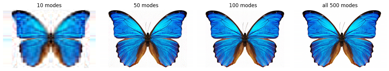 butterfly.png