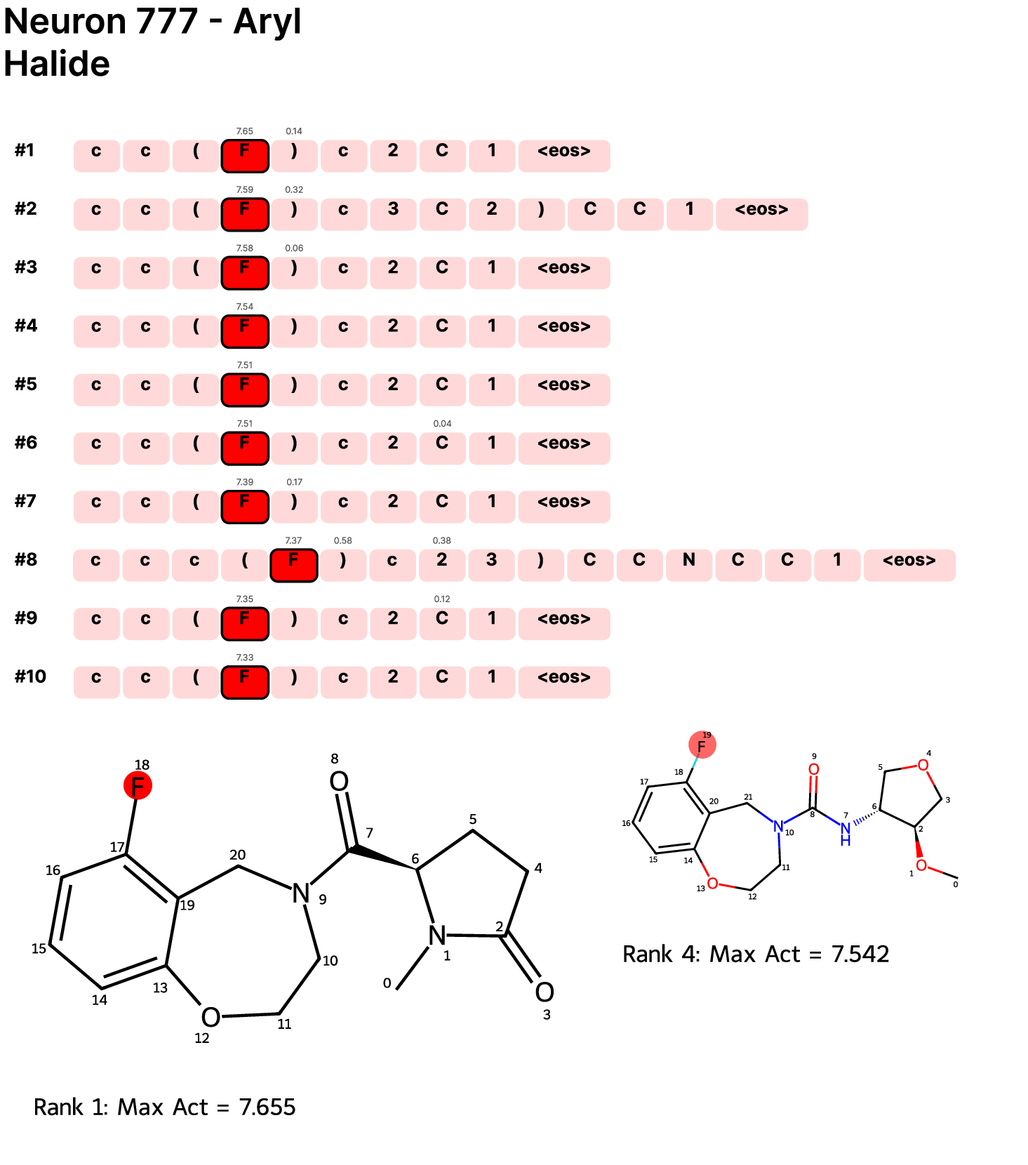 Circuits, Features, and Heuristics in Molecular Transformers