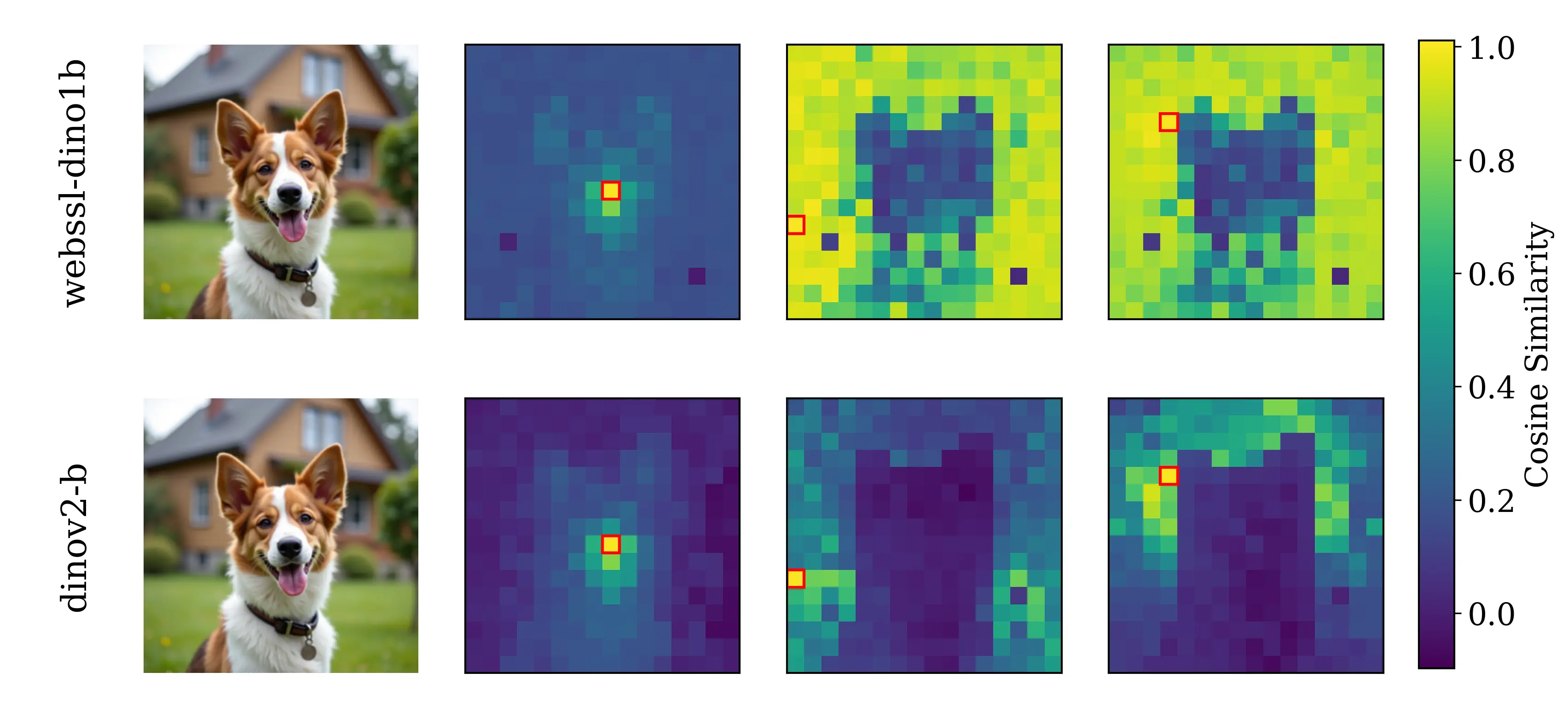 comparison_webssl_dino1b_vs_dinov2_b_spatial.webp