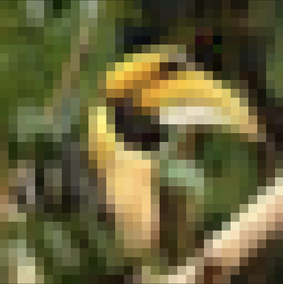 Empirical evaluation of the Frank-Wolfe methods for constructing white-box adversarial attacks