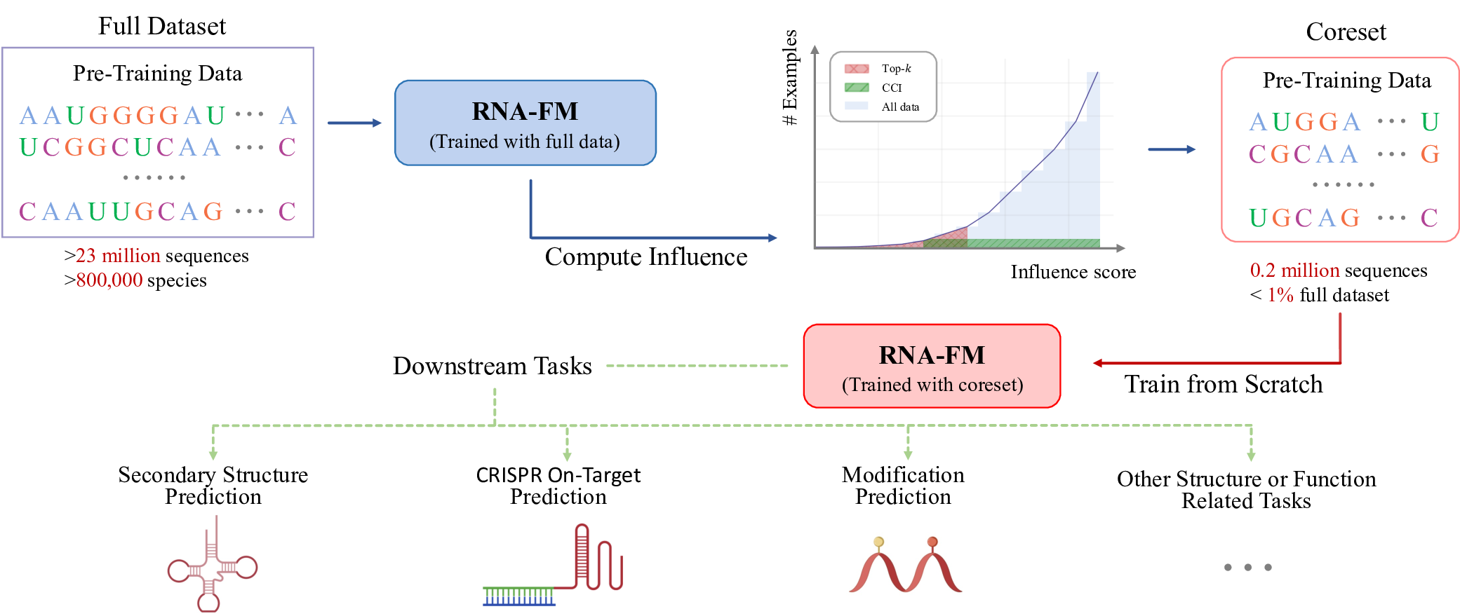 Investigating Data Pruning for Pretraining Biological Foundation Models at Scale