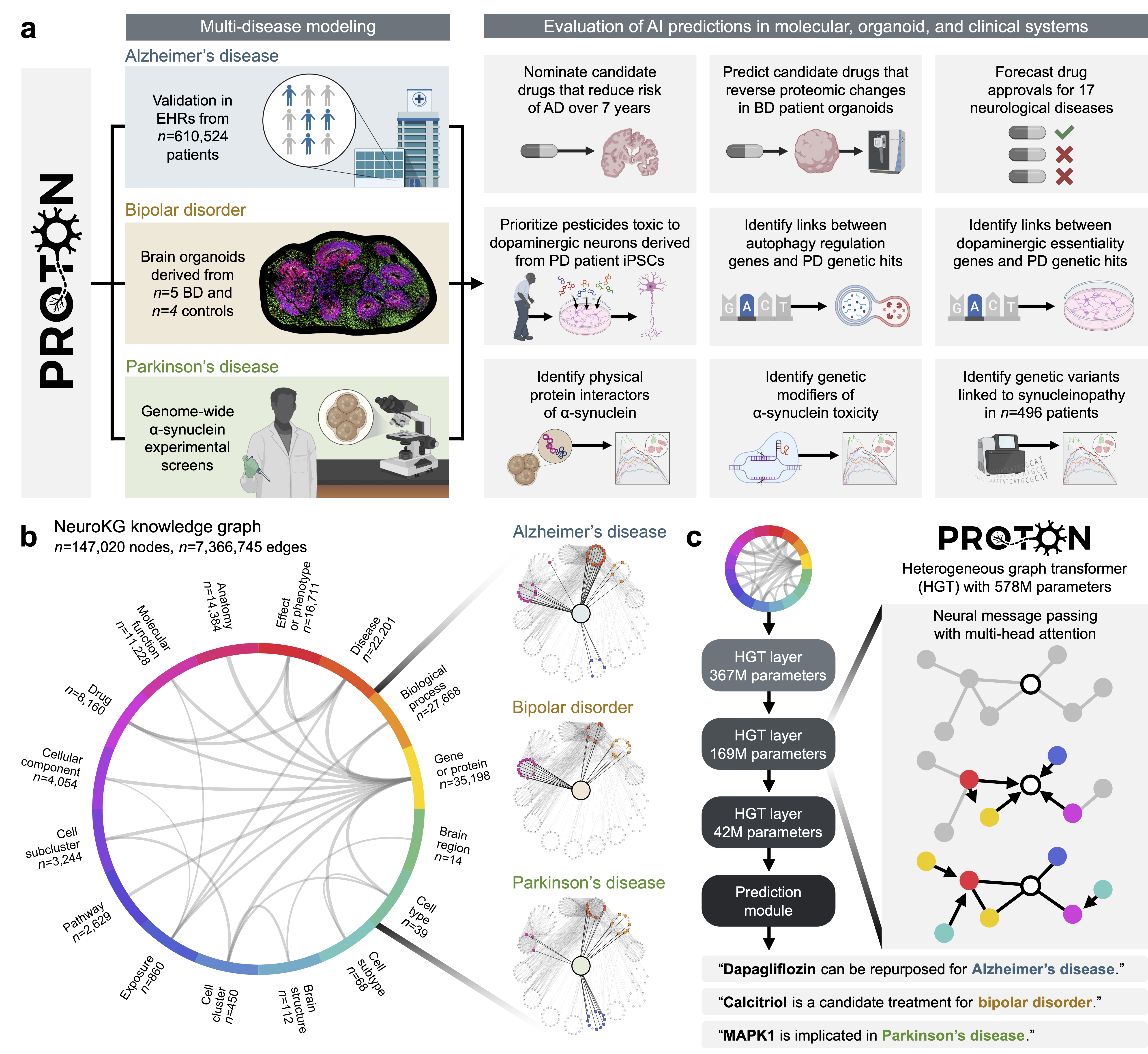 Graph AI generates neurological hypotheses validated in molecular, organoid, and clinical systems