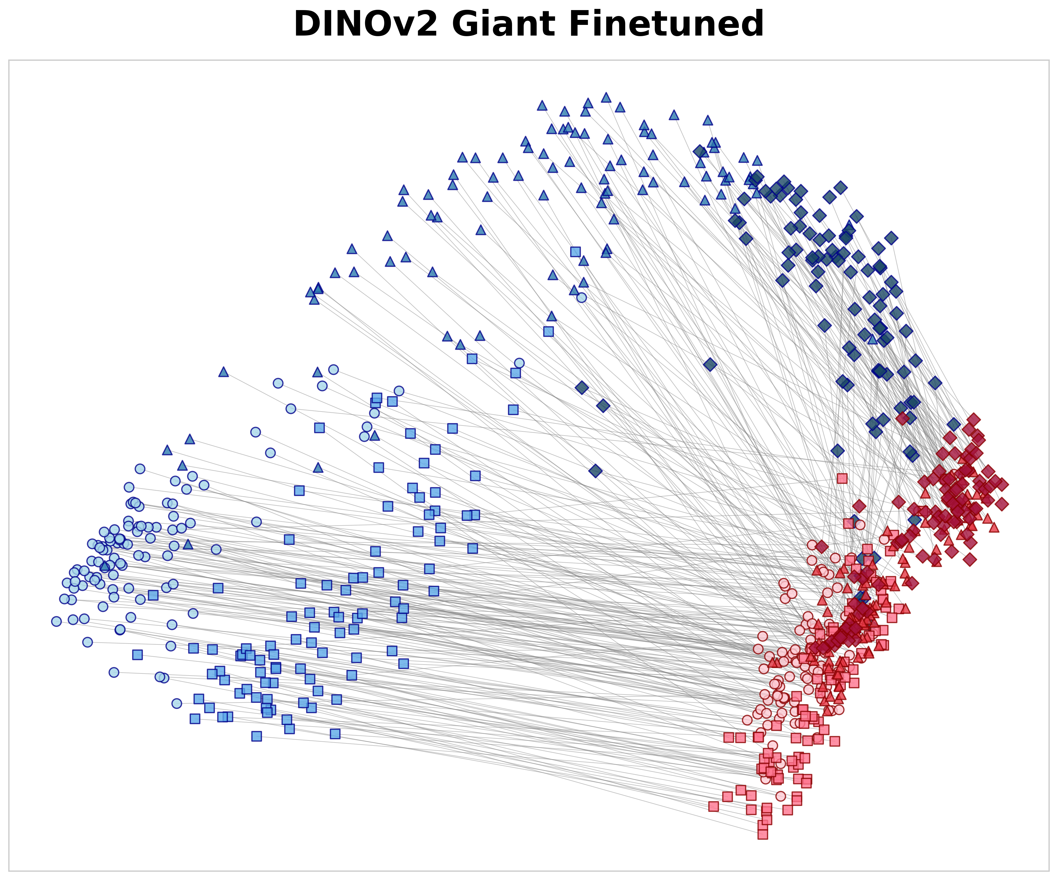 Magnification-Aware Distillation (MAD): A Self-Supervised Framework for Unified Representation Learning in Gigapixel Whole-Slide Images