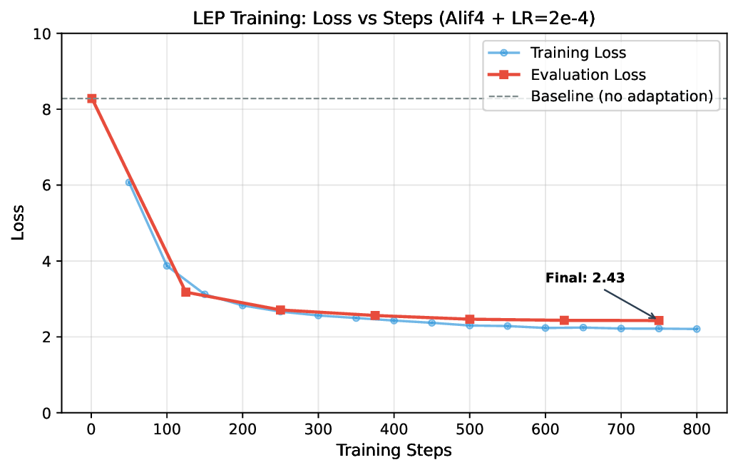 training_curves.png