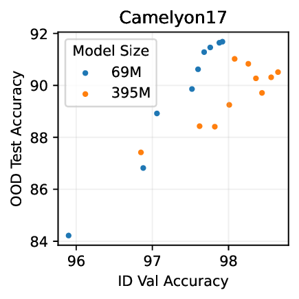 camelyon_gen_scaling.png