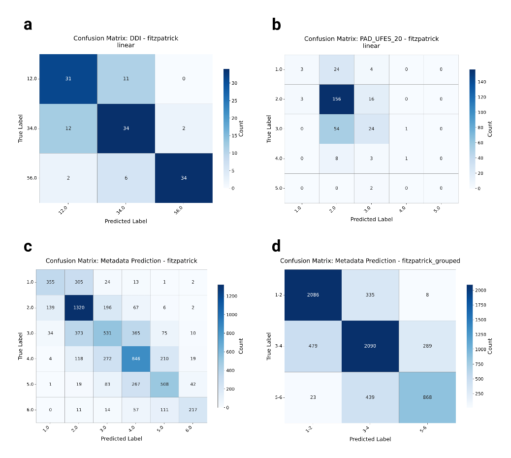 A Global Atlas of Digital Dermatology to Map Innovation and Disparities