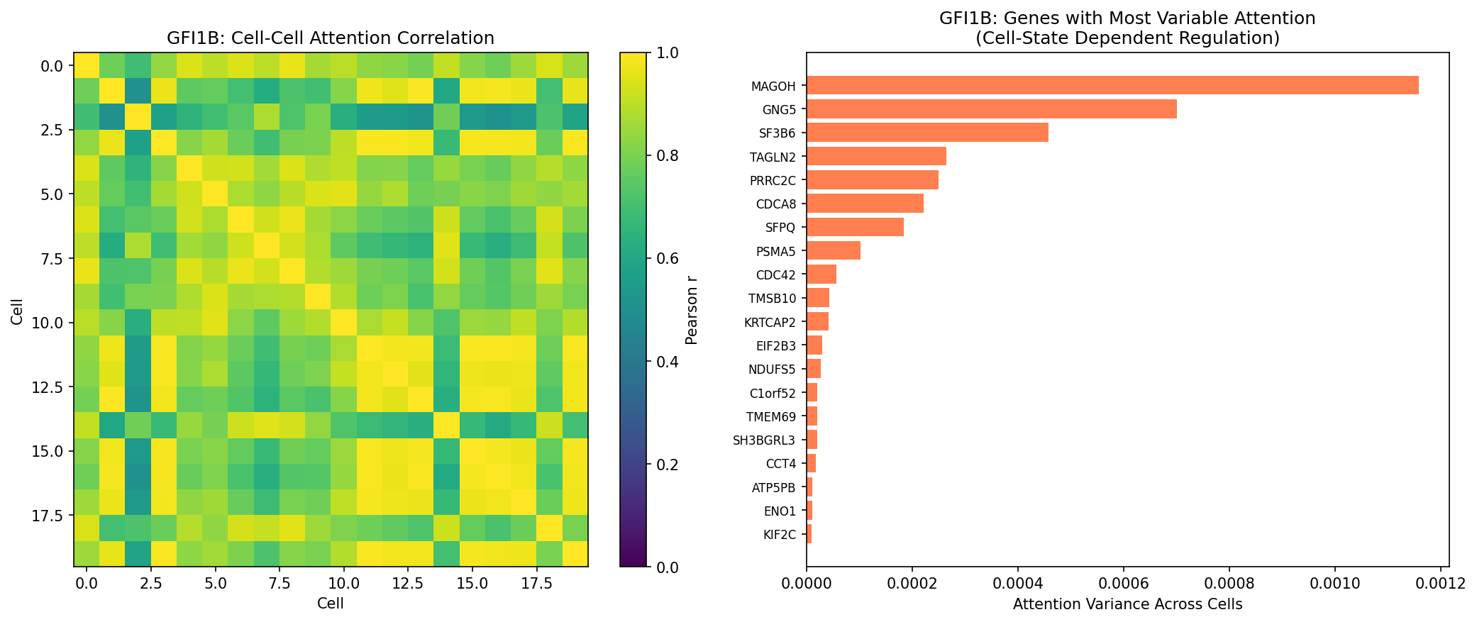 fig4e_cell_attention_variation.png
