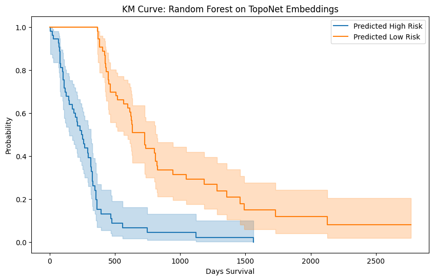 Learning Glioblastoma Tumor Heterogeneity Using Brain Inspired Topological Neural Networks