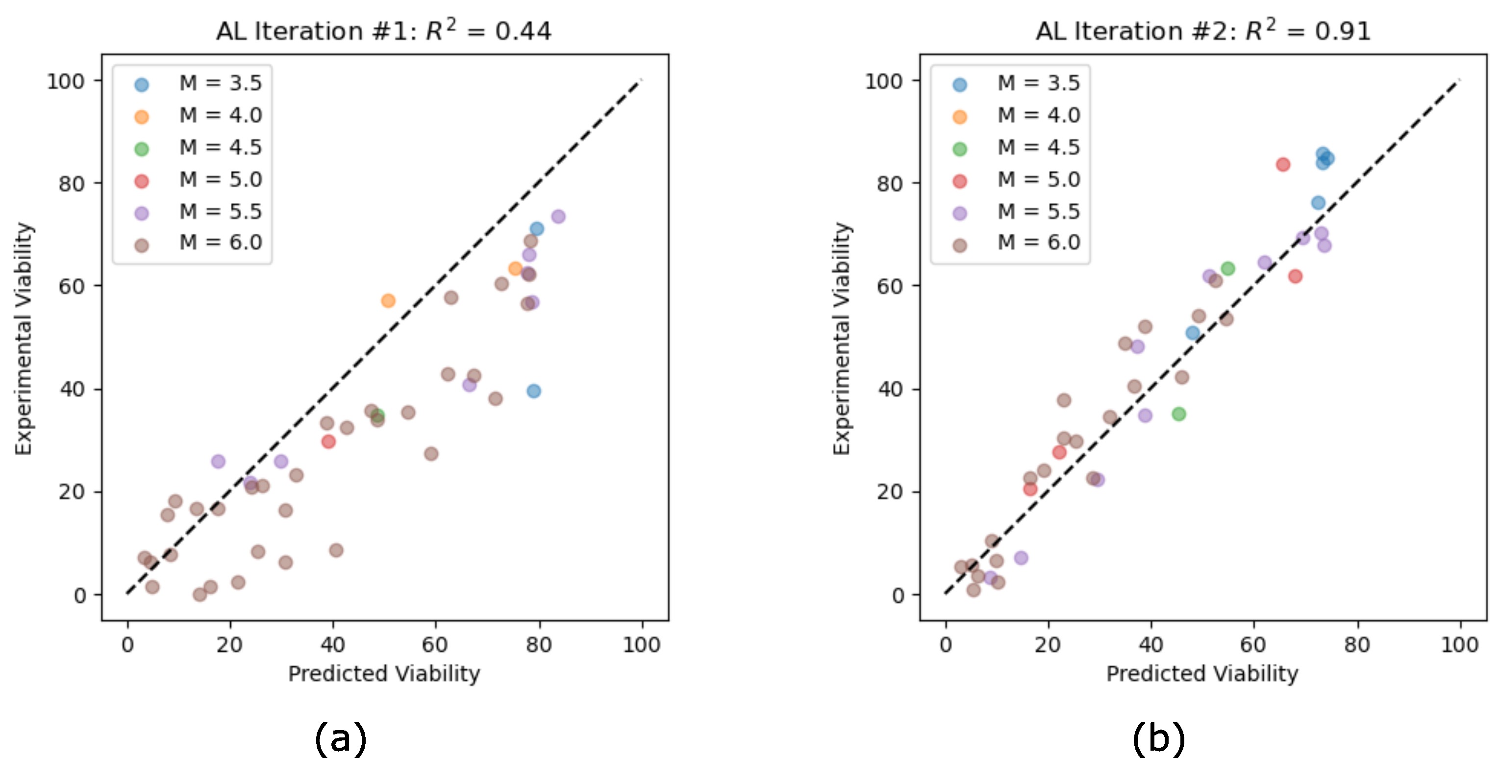 Accelerated Discovery of Cryoprotectant Cocktails via Multi-Objective Bayesian Optimization