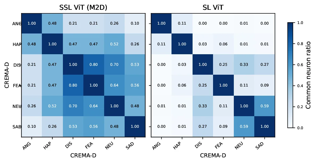 “신경세포가 듣는 소리란? 범용 오디오 SSL 모델을 뉴런 수준에서 파헤치다”