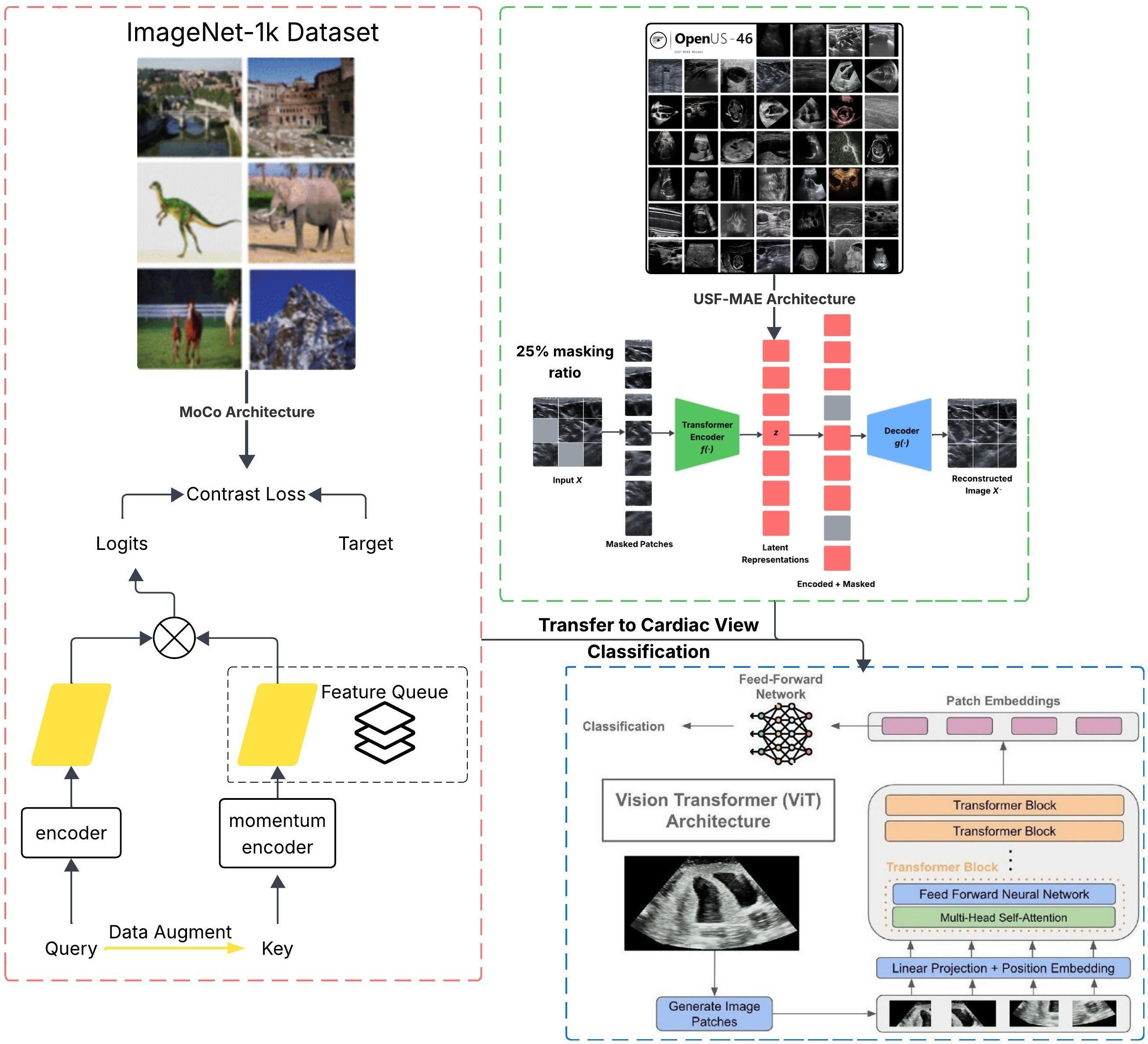 Benchmarking Self-Supervised Models for Cardiac Ultrasound View Classification