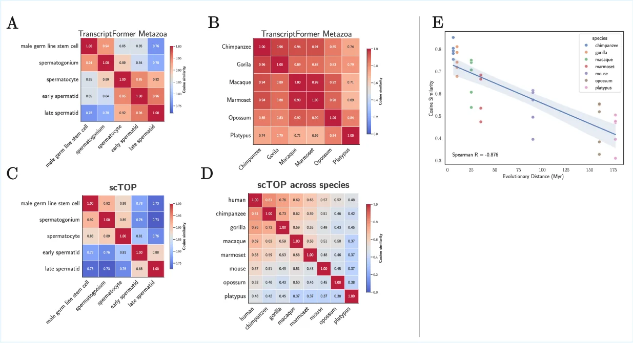 Parameter-free representations outperform single-cell foundation models on downstream benchmarks