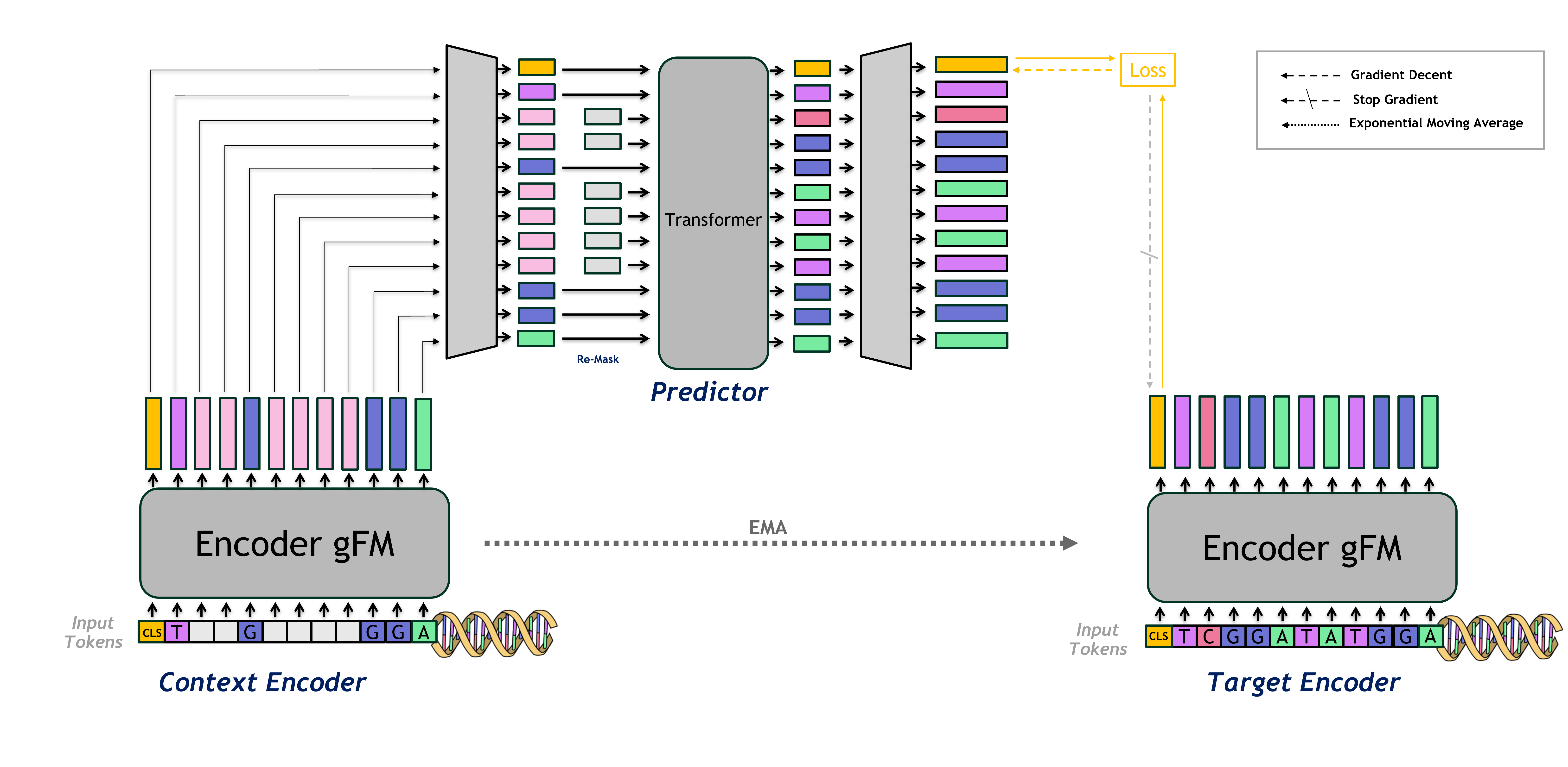 JEPA-DNA: Grounding Genomic Foundation Models through Joint-Embedding Predictive Architectures
