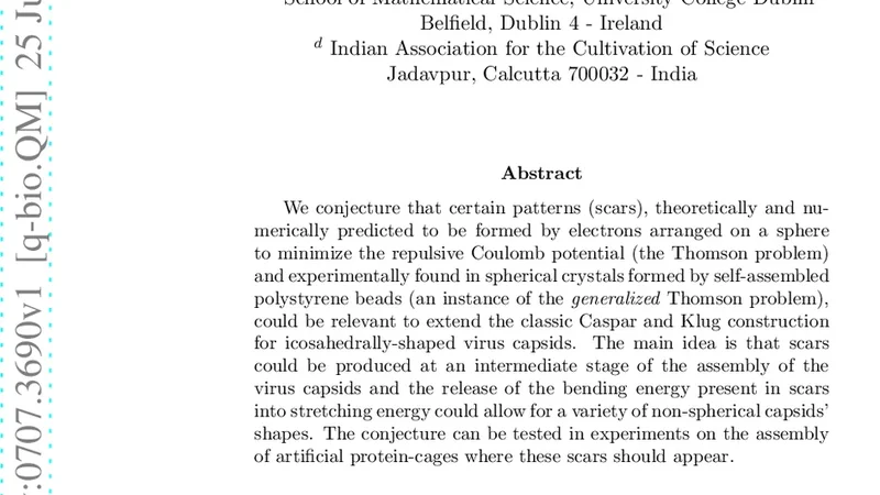 Virus Structure: From Crick and Watson to a New Conjecture