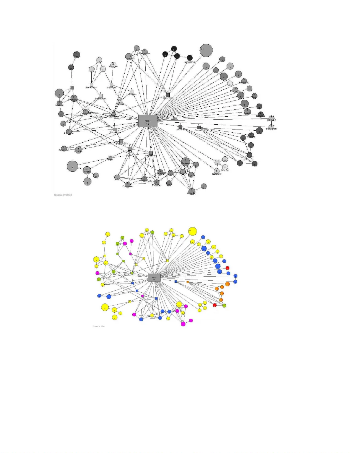 Batch kernel SOM and related Laplacian methods for social network   analysis
