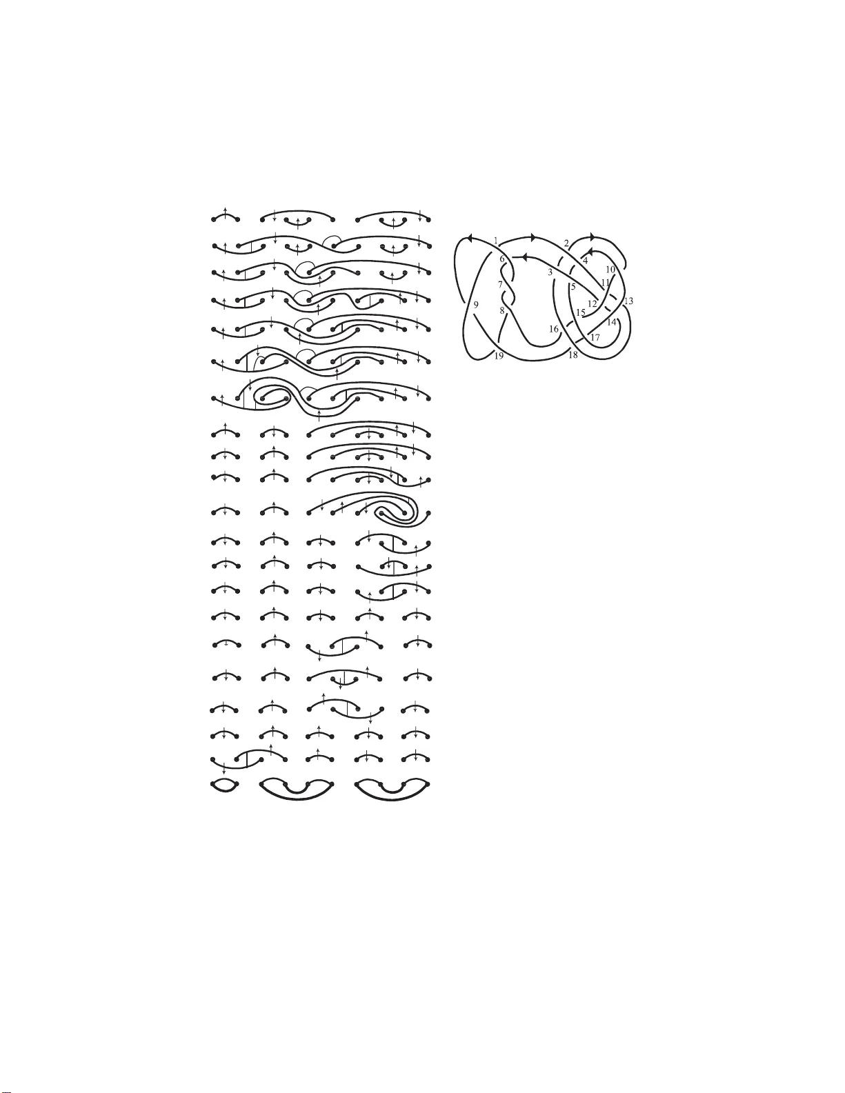 n‑브리지 투영으로부터 최소 복잡도 세이퍼트 표면을 만드는 새로운 알고리즘