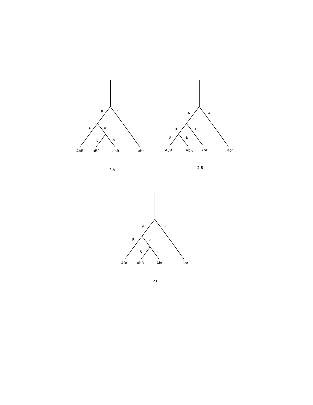 표지자 대립유전자 그룹을 활용한 효율적인 유전자형 및 복합 haplotype 탐색
