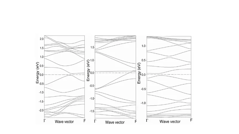 Useful vacancies in Single Wall Carbon Nanotubes
