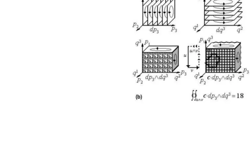 Geometrical Bioelectrodynamics