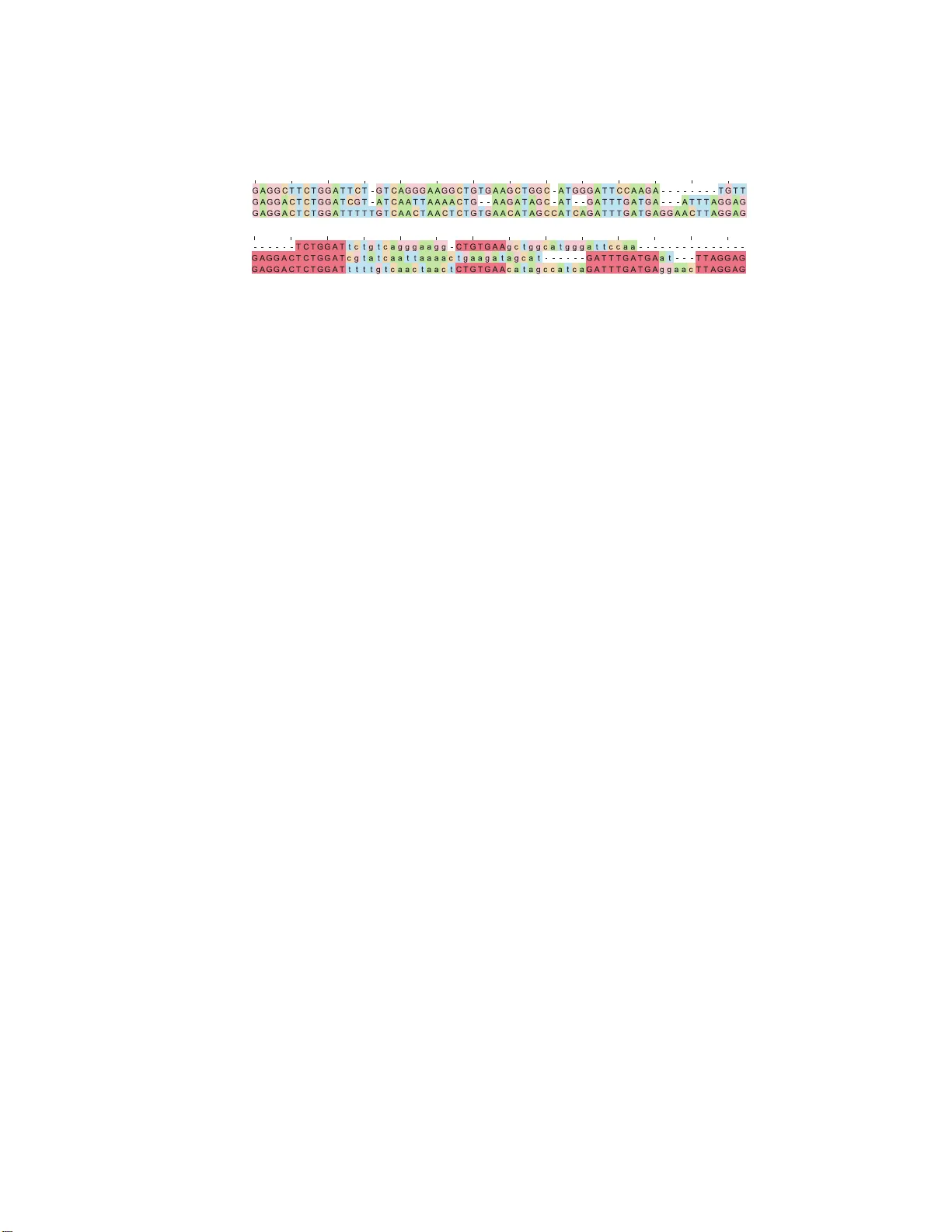 다중 서열 정렬을 위한 개미 기반 구조 모델