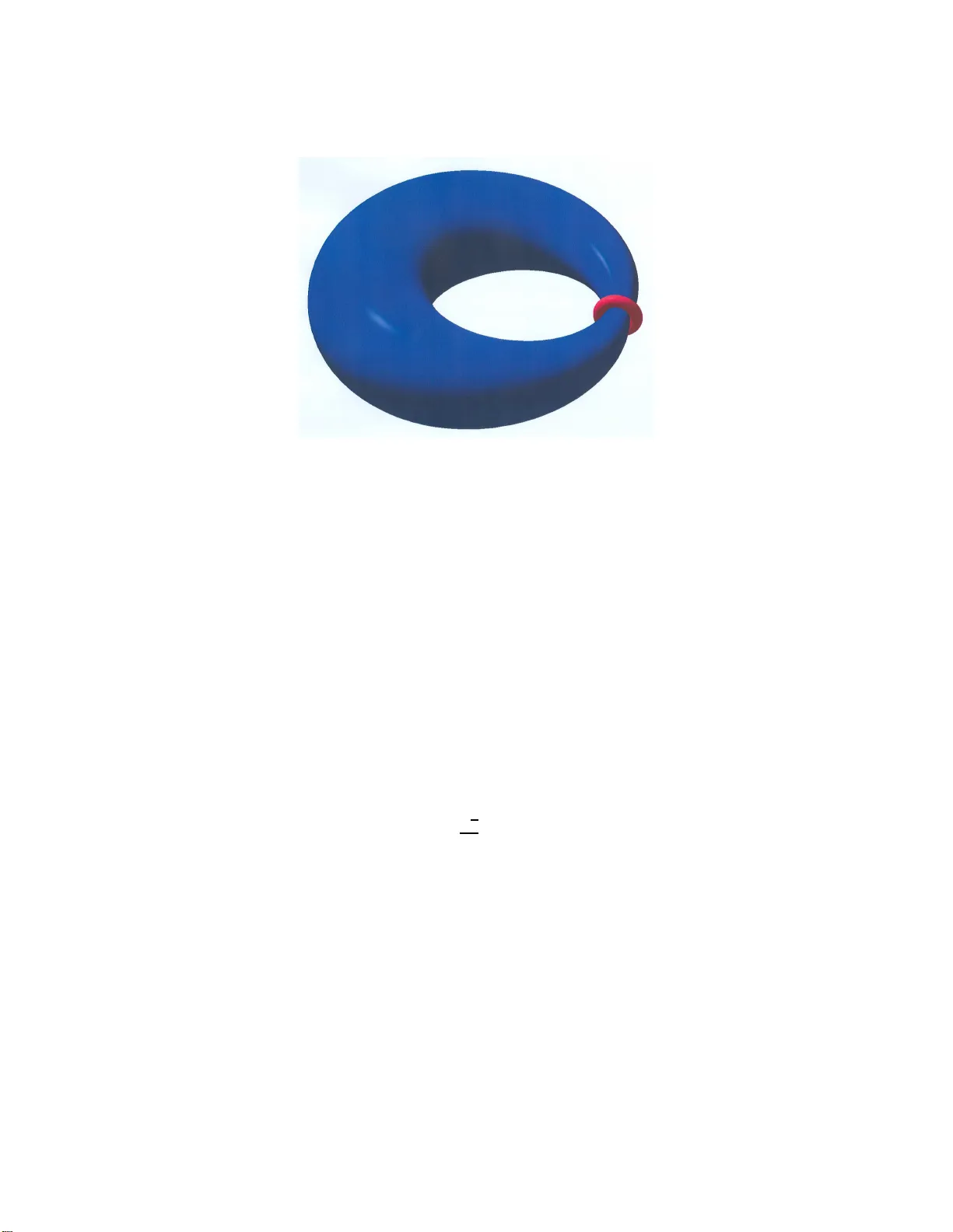 로웬너 토러스 부등식의 등시스톨릭 결함과 변분 해석