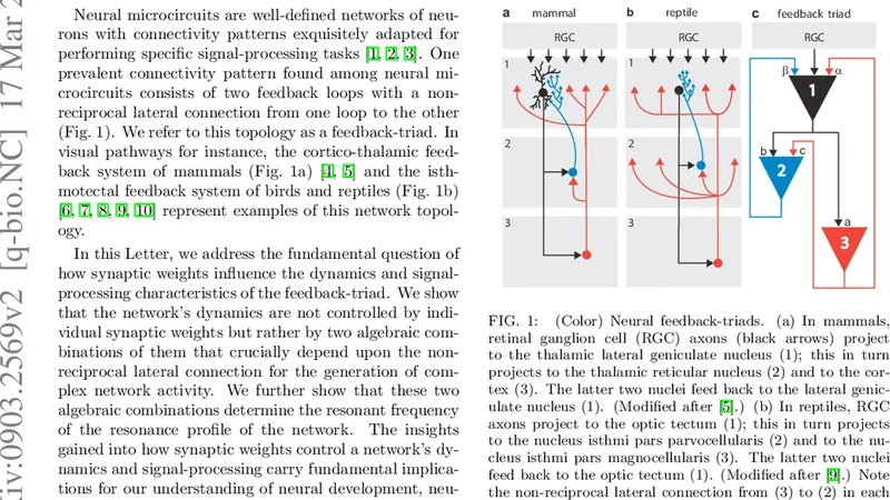 Equivalent Dynamics from Disparate Synaptic Weights in a Prevalent   Visual Circuit
