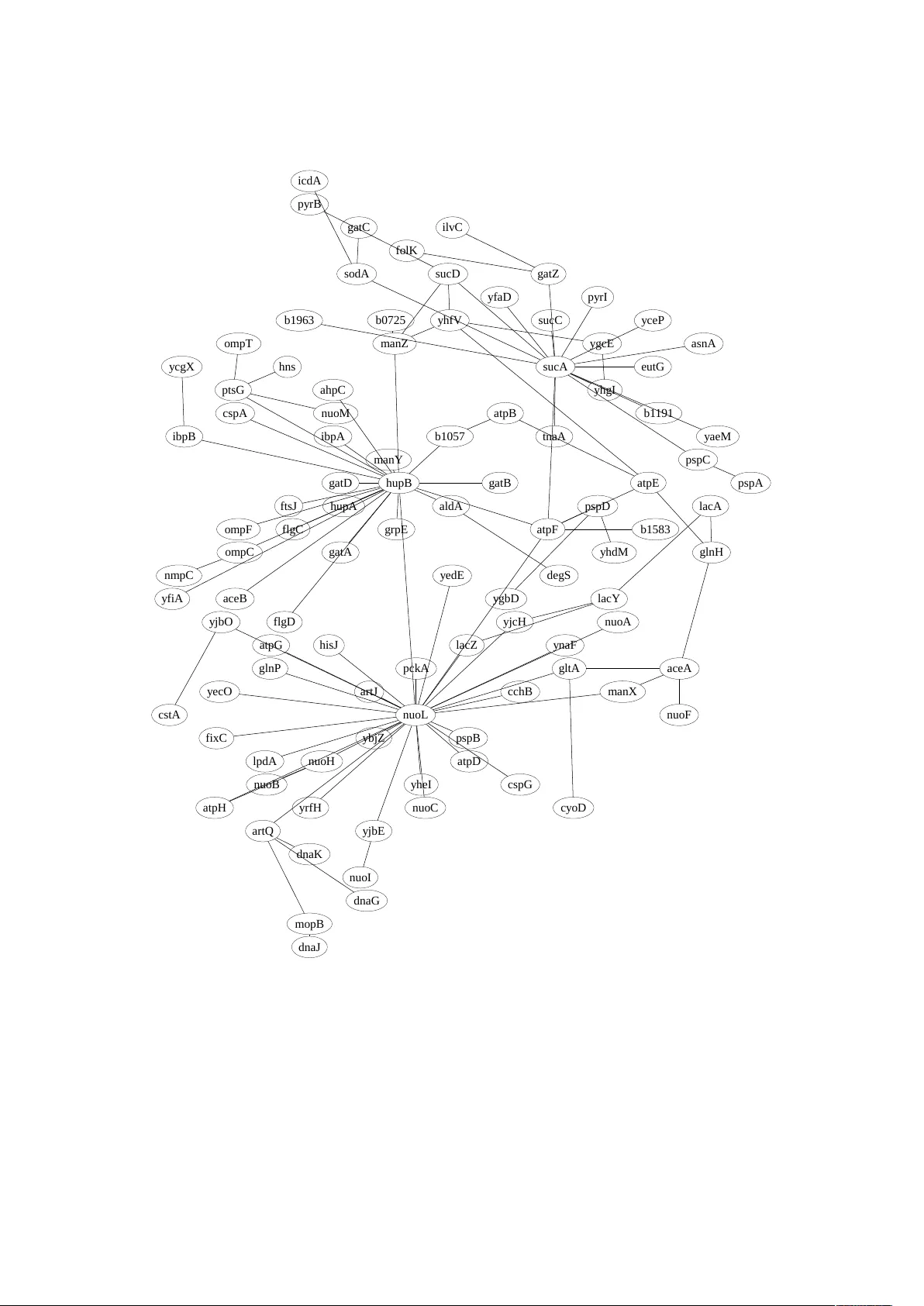 Entropy inference and the James-Stein estimator, with application to   nonlinear gene association networks